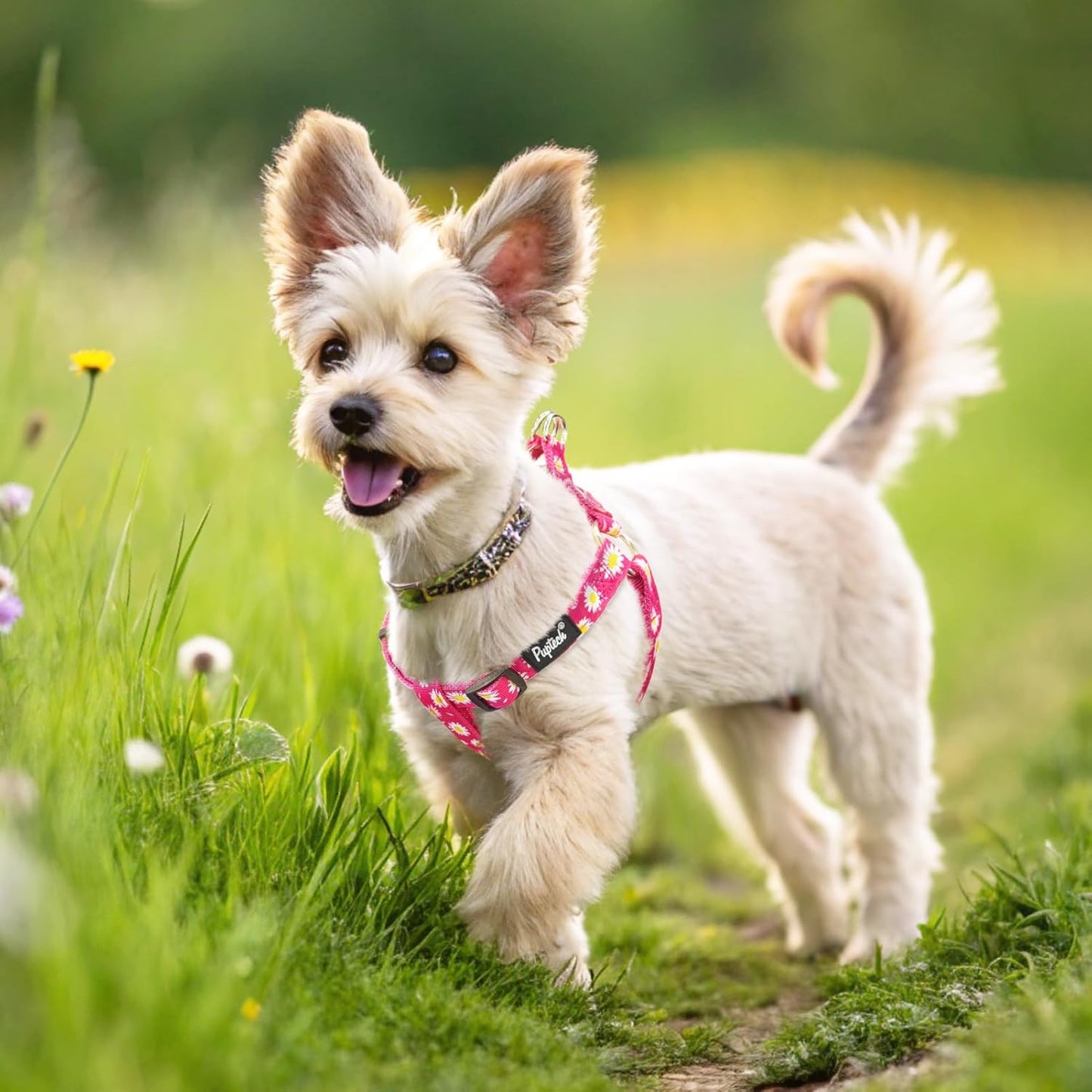 PUPTECK No Pull Dog Harness Soft Adjustable Basic Nylon Step in Puppy Vest Outdoor Walking with ID Tag, Fuchsia Daisy, S
