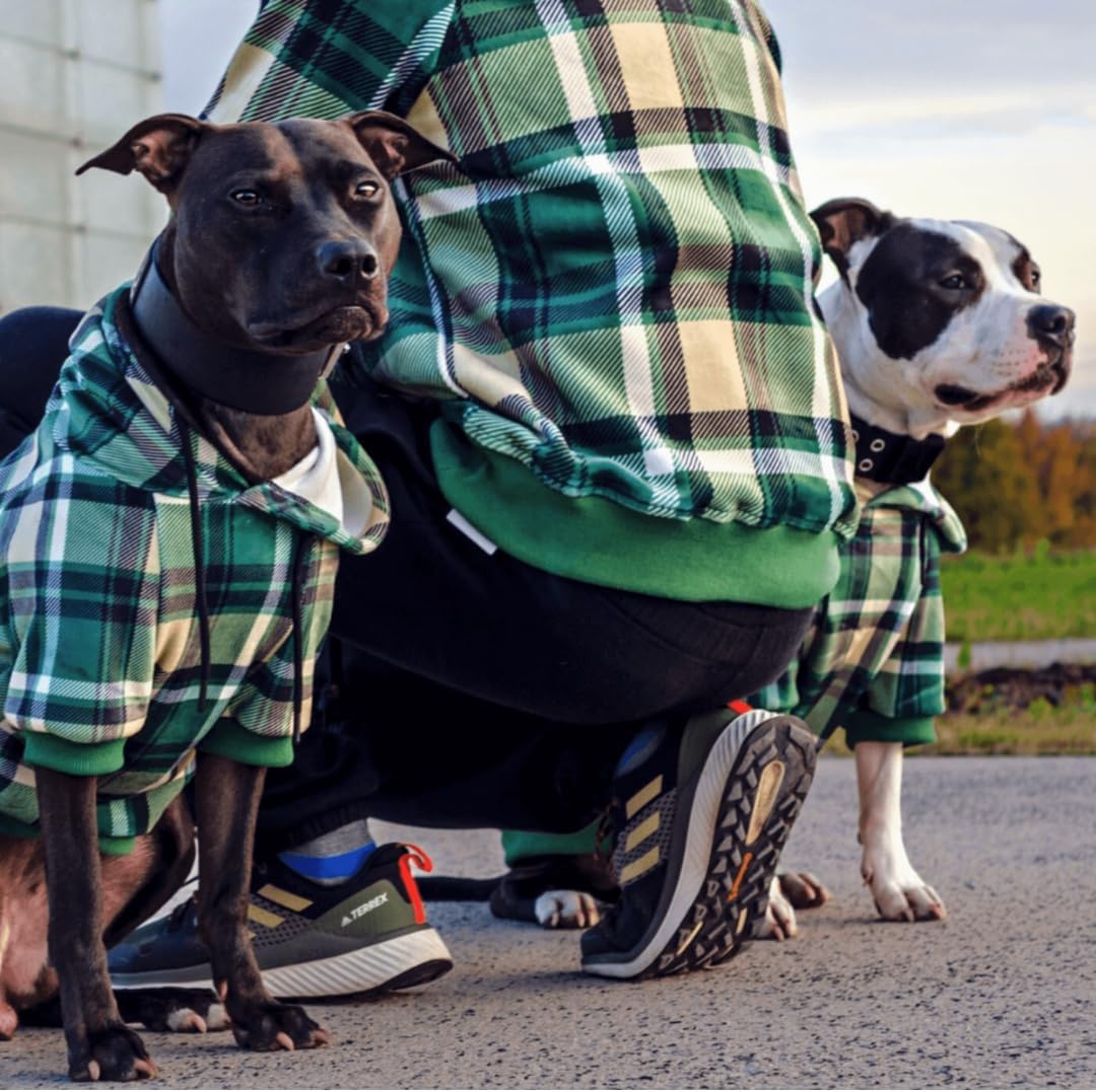 Spark Paws Dog Hoodie – Premium Dog Sweater for Small, Medium, and Large Dogs | Warm Outfits for French Bulldogs, Pitbull, Puppy, Winter Jacket Alternative - Green Plaid - M