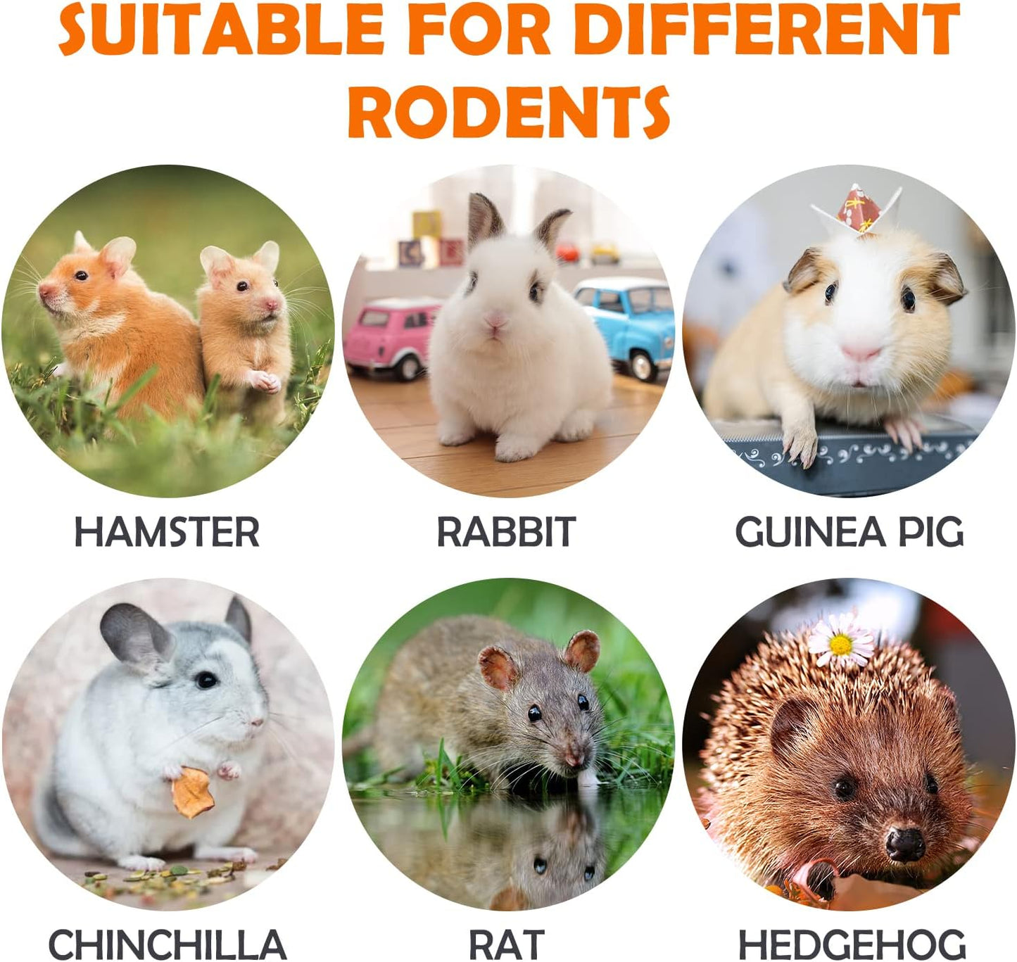 Sofier 32Pcs Timothy Hay Sticks 320g for Rabbit, Guinea Pig, Hamster - Natural Handmade Treats and Chews for Teeth - Chinchilla, Rat, Gerbil Toys