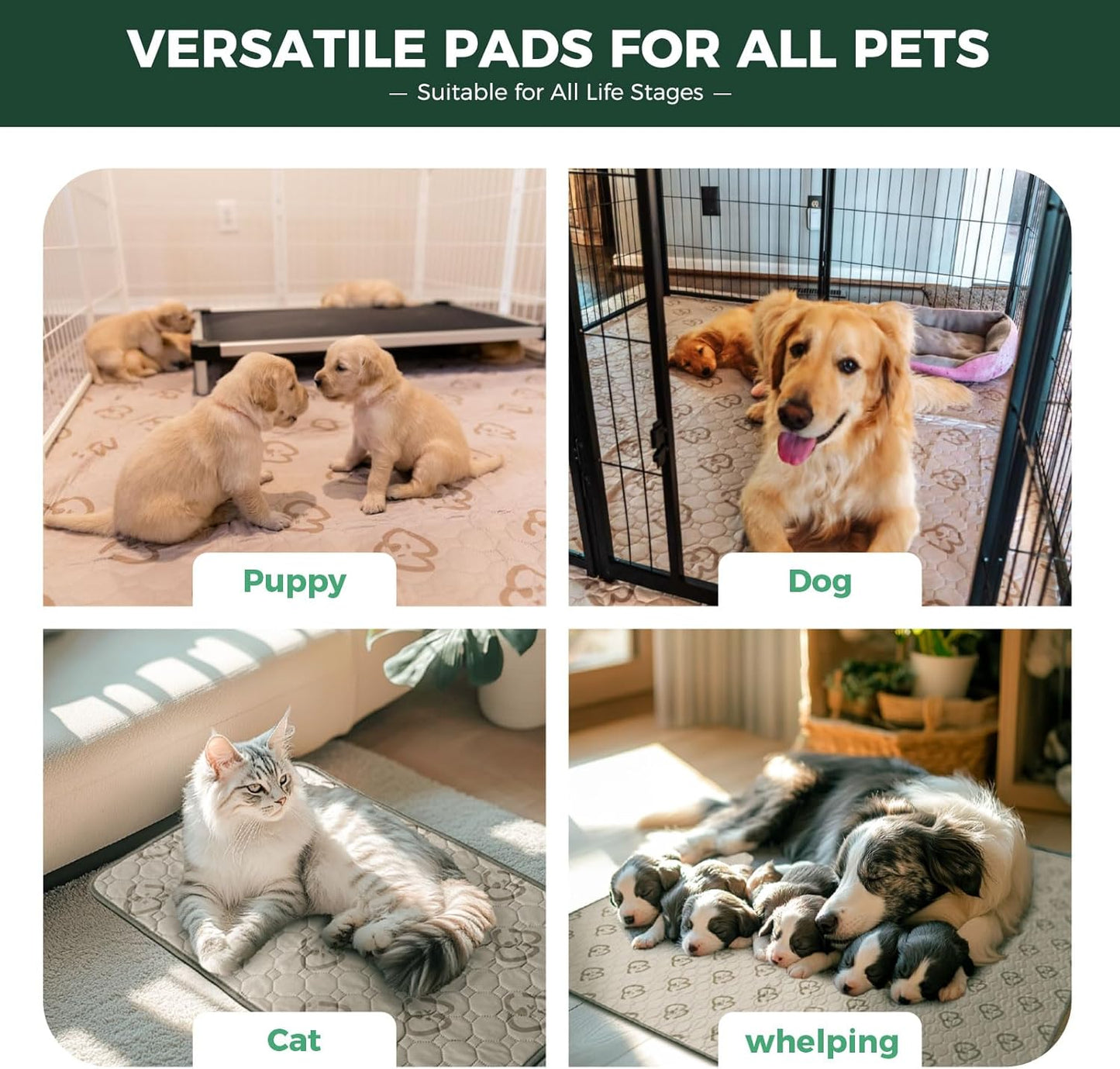 FXW Washable Pee Pads for Dogs, Puppy Pads with Super Absorbent, Specifically Designed for Whelping Box, 39" Round, Khaki, 2 Packs