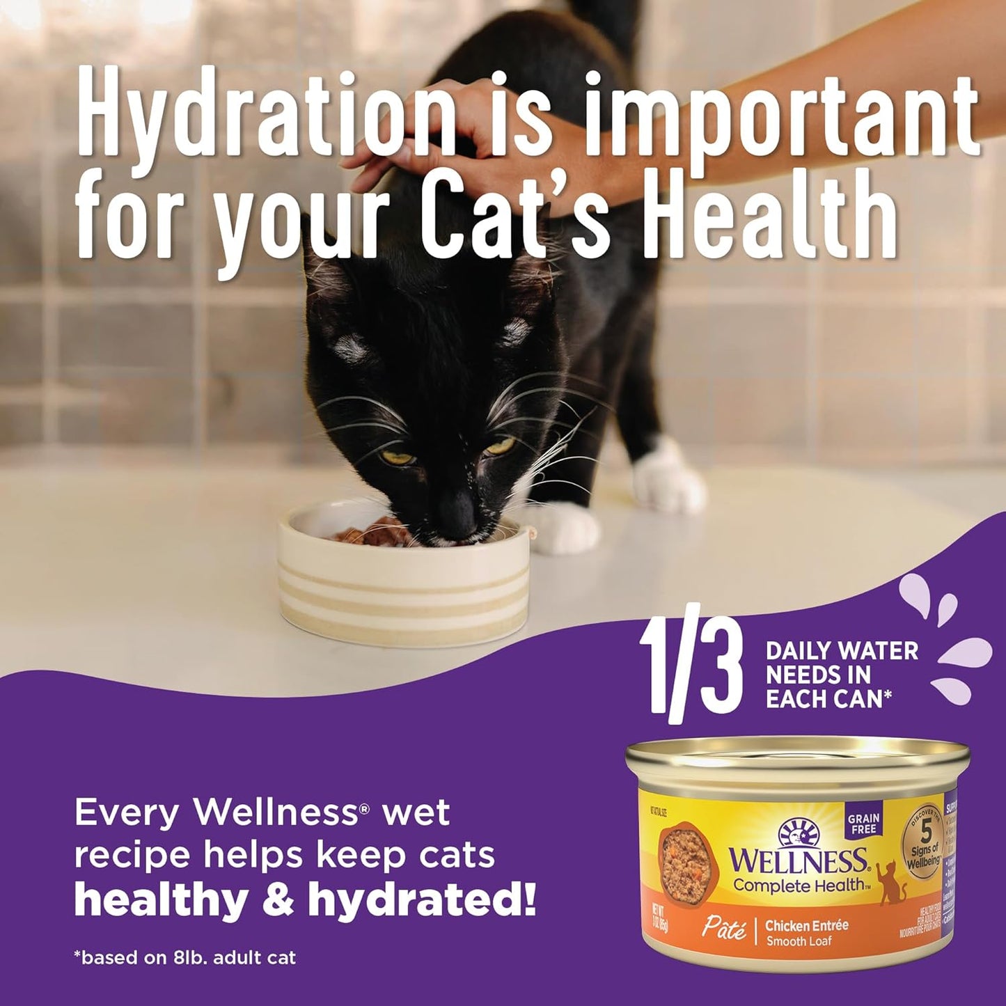Wellness Complete Health Pate Adult Wet Cat Food, Natural, Protein-Rich, Grain-Free, 3 Ounce, 24 Pack, (Chicken & Herring)