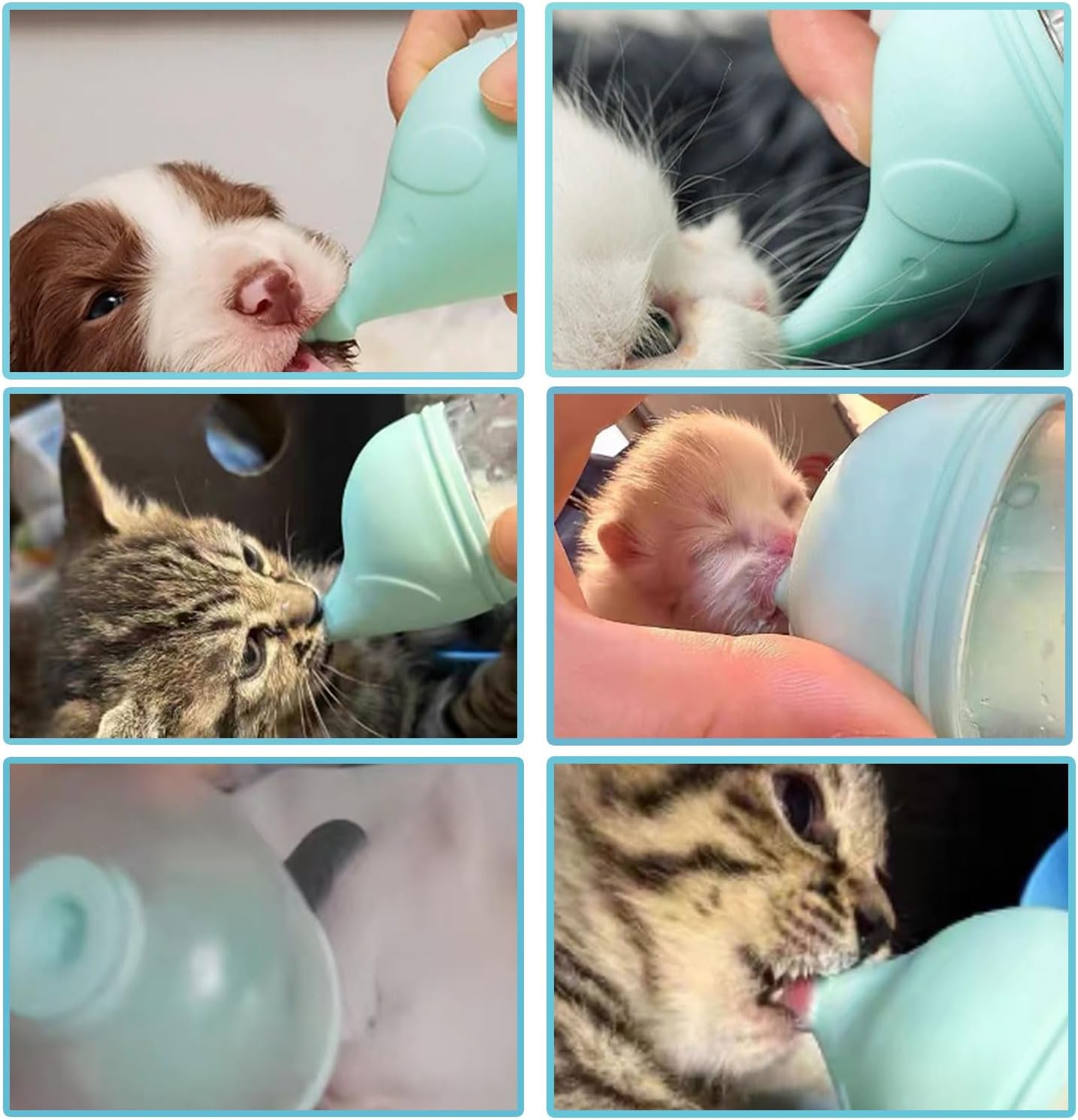 5 pcs Kitten Bottle Miracle Nipple for Kittens Anti-Choking Design for Newborn Kittens Puppies Small Animals (50ml)