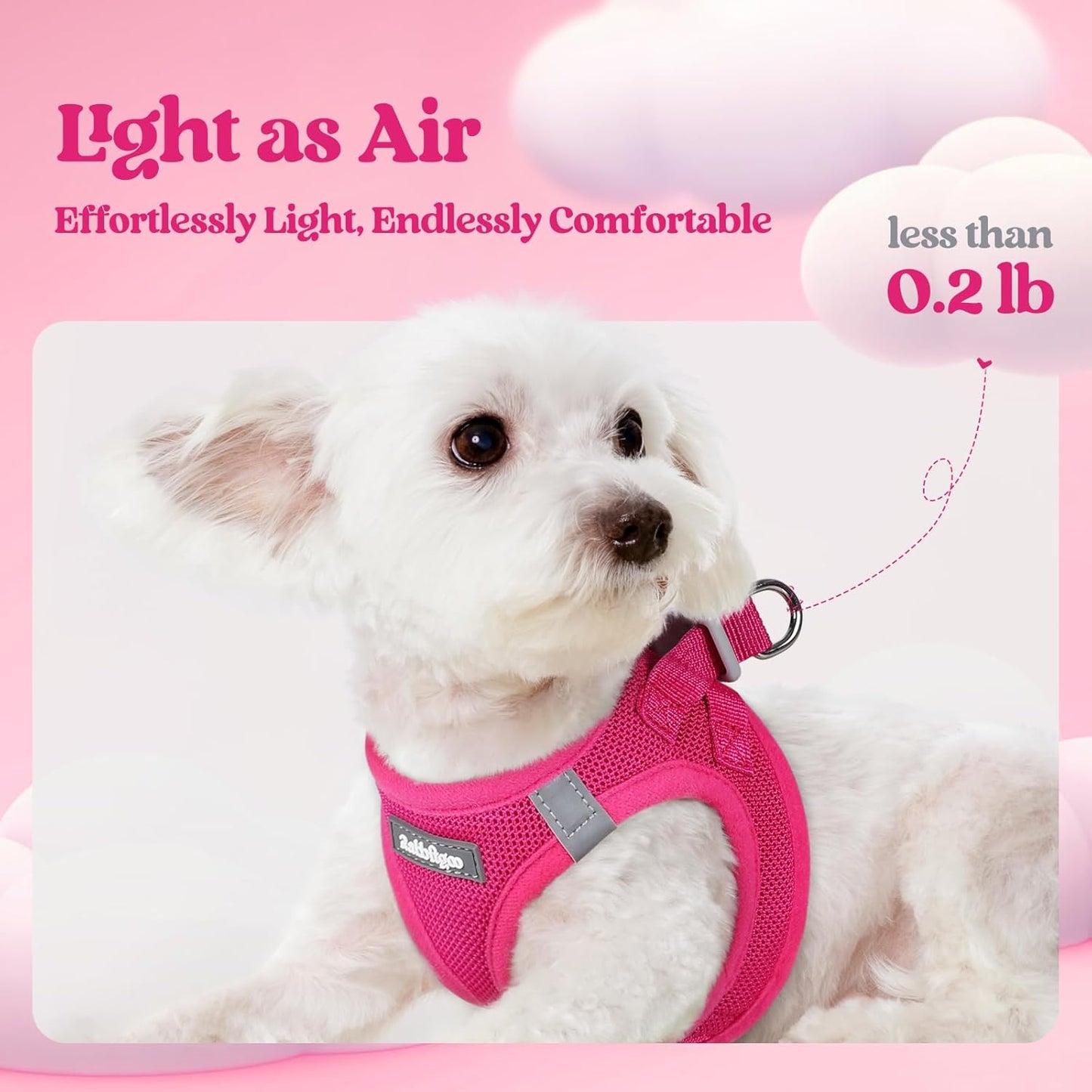 rabbitgoo Dog Harness Small Sized and Leash Set, Step in Soft Light Puppy Vest, Breathable Mesh Pet Harness, Reflective for Safe Easy Walking, Rose Red XXS