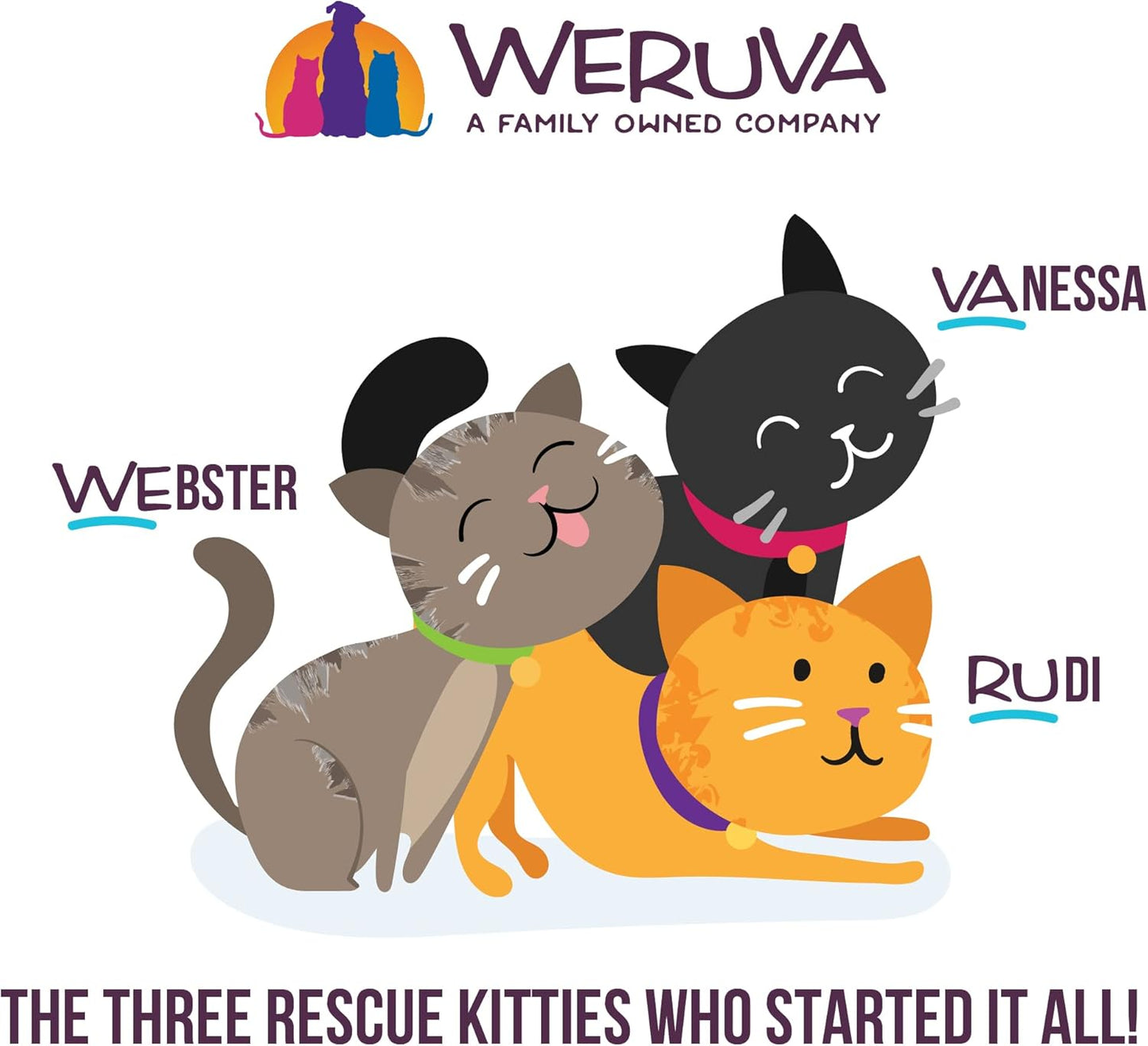 Weruva B.F.F. Play - Best Feline Friend Paté Lovers, Aw Yeah!, Tuna & Duck Double Dare with Tuna & Duck, 2.8oz Can (Pack of 12)