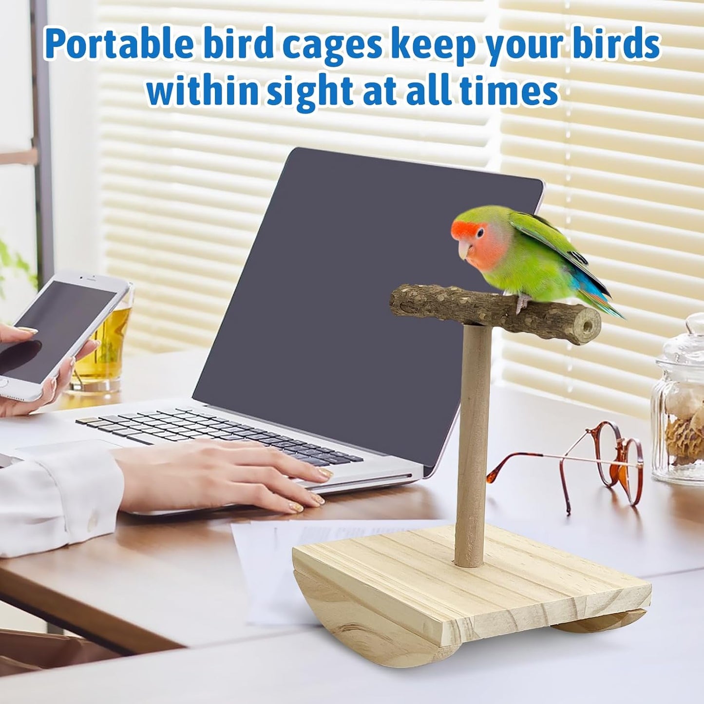 kathson Bird Training Stand, Parakeet Playground Bird Perch Stand Portable Tabletop Bird Perch Parrot Stand perches T Shaped Bird Play Stand for Parakeets Conures Lovebirds Cockatiels