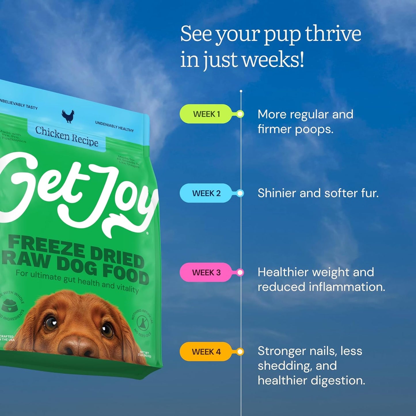 Get Joy Gut Health Fresh Freeze Dried Raw Meal, Chicken Recipe, 32 Ounce Bag, Dog Food for Dogs of All Breeds and Life Stages, PhD Animal Nutritionist Formulated, Made in USA