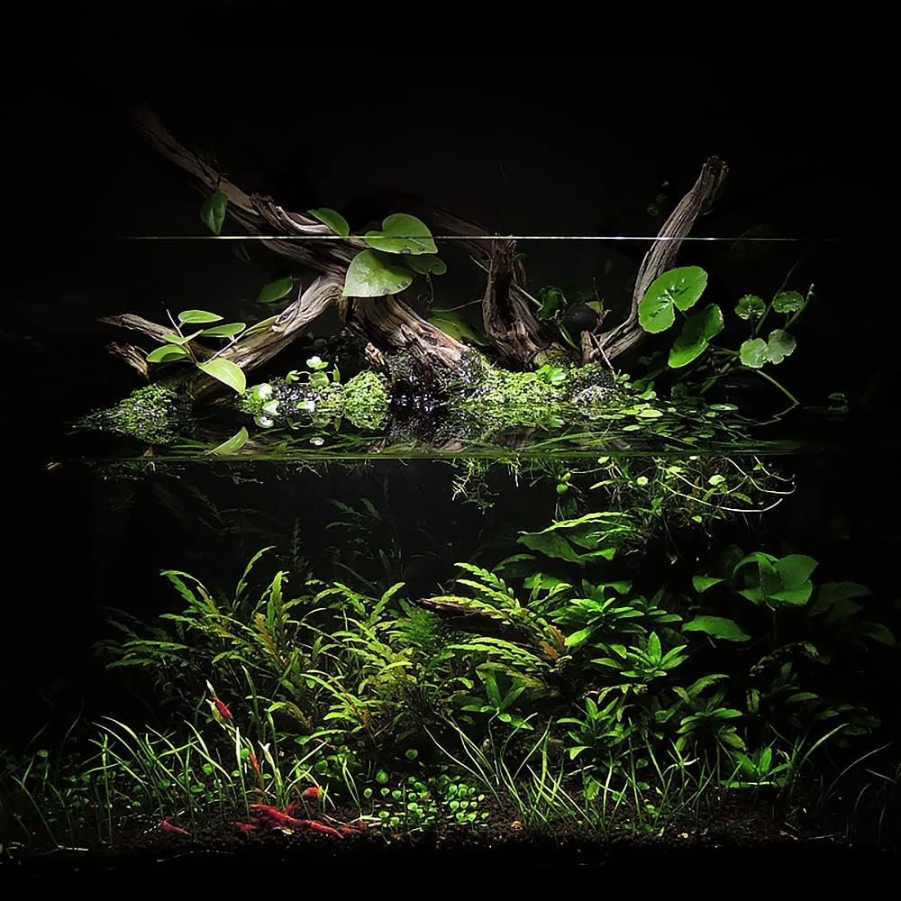 Ultum Nature Systems Controsoil - Freshwater Aqua Soil Substrate for Fish, Shrimp, Live Plant Propagation and Aquascaping - 6.8pH Low Ammonia, Volcanic Ash - Black, Fine (3 Liter | 6LB)