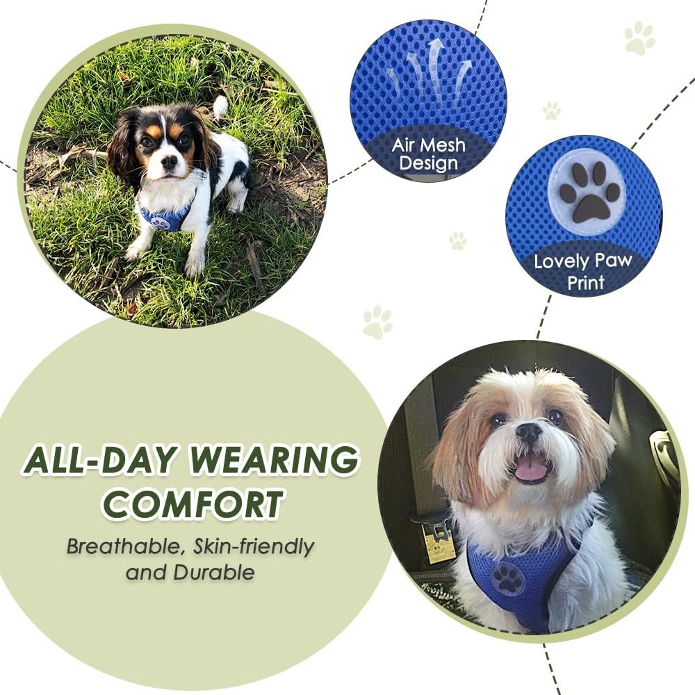 SlowTon Dog Seat Belt Harness for Car, Dog Car Harness Adjustable Mesh Breathable & Dog Seatbelt Safety Tether with Elastic Bungee for Small Medium Large Pets(Blue, Double Clip, M)