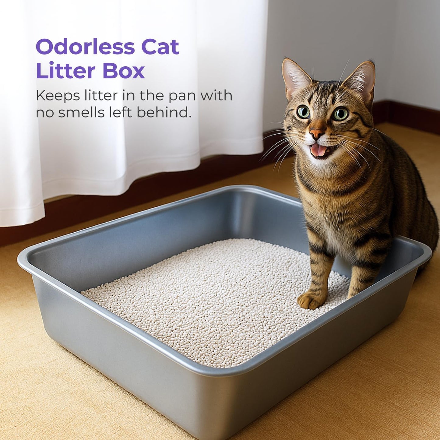 iPrimio Ultimate Stainless Steel XL Cat Litter Box - XL Litter Box for Big Cats - Large Cat Litter Box - Never Absorbs Odor, Stains, or Rusts - Easy Cleaning Litterbox Designed by Cat Owners (1 Pan)
