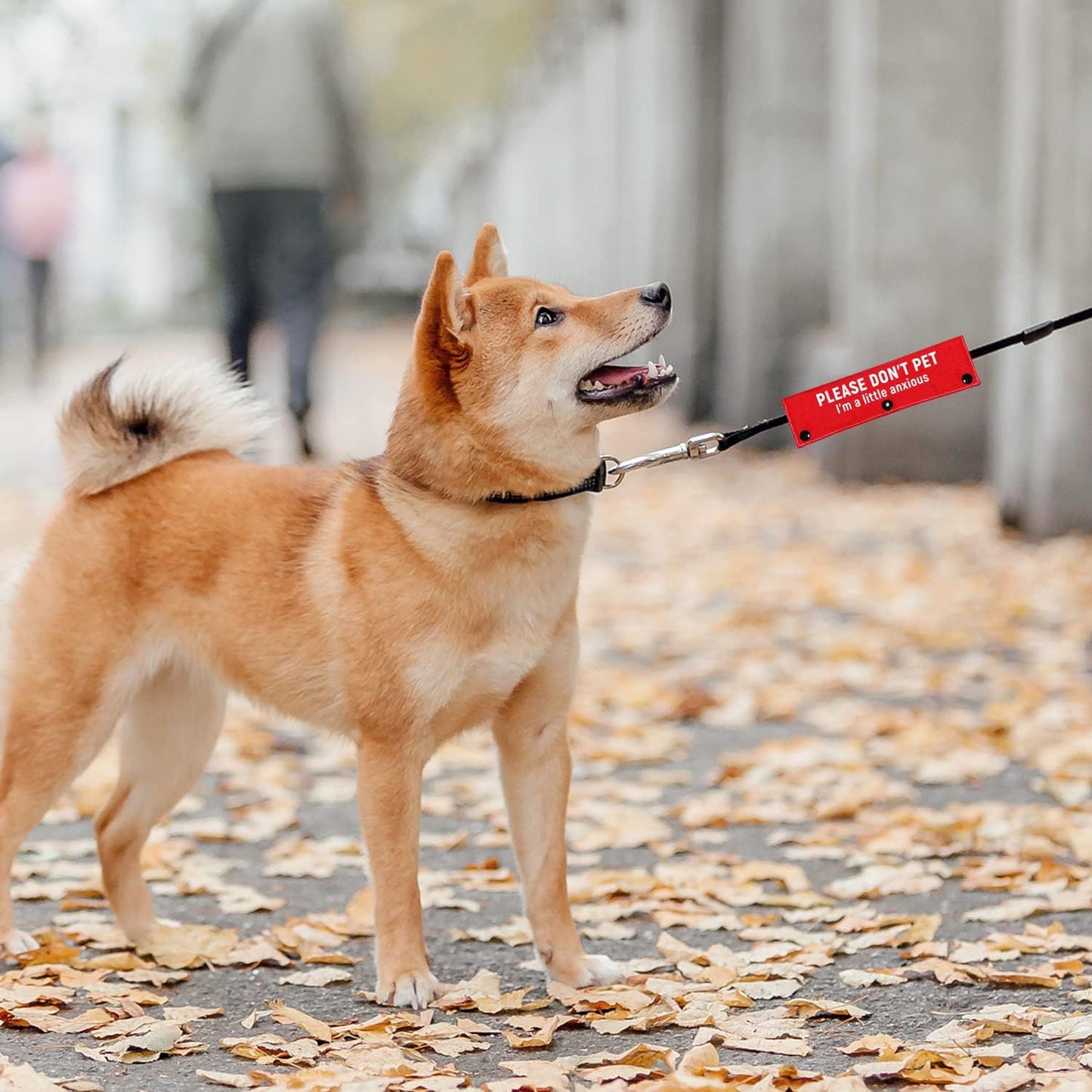 Advivio I'm a Little Anxious Red Dog Leash Sleeve, Wrap Alert Hanging ID Patch Tag for Pet Dog Cat The Best Choice for Daily Walking and Training Fitness, Pet Birthday Gift