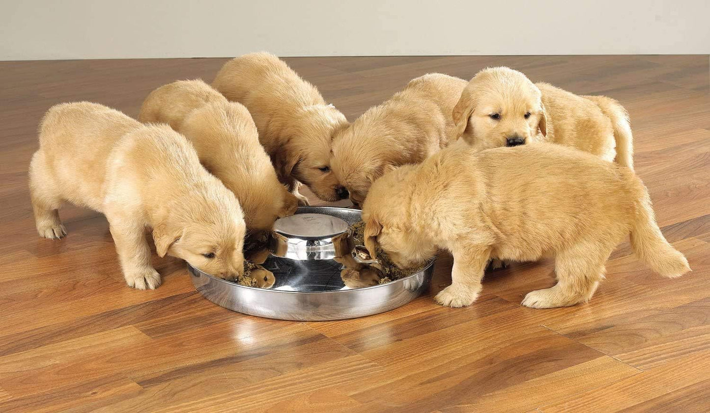 Stainless Steel Puppy Kitten Dish Whelping Weaning Dishes Feeder 11.8inch (2 Pack)