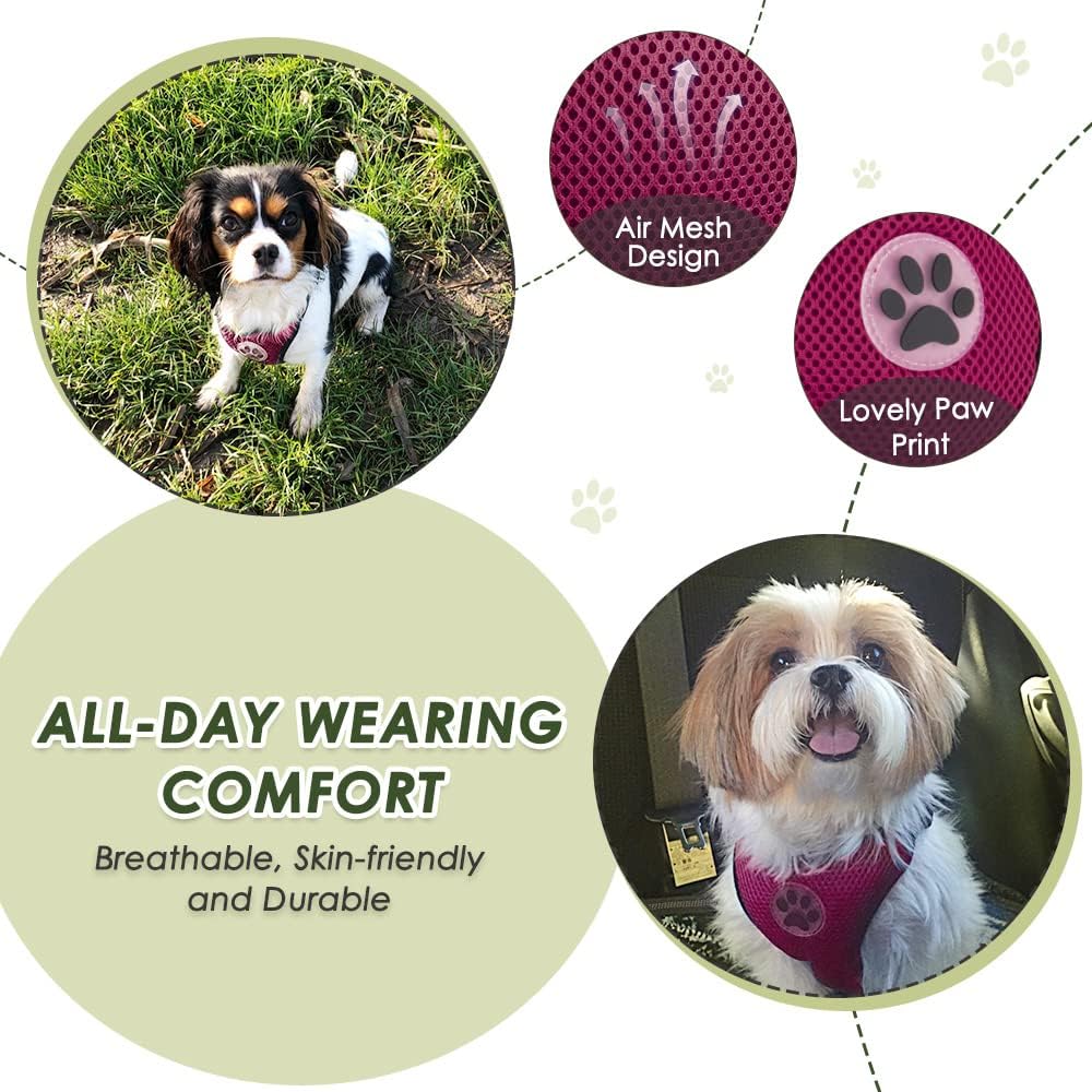 Lukovee Dog Seat Belt for Car, Adjustable Dog Car Harness for Large Medium Small Dogs, Soft Padded & Breathable Mesh Dog Seatbelt with Car Strap and Carabiner(Rose Double Clip,XX-Small)