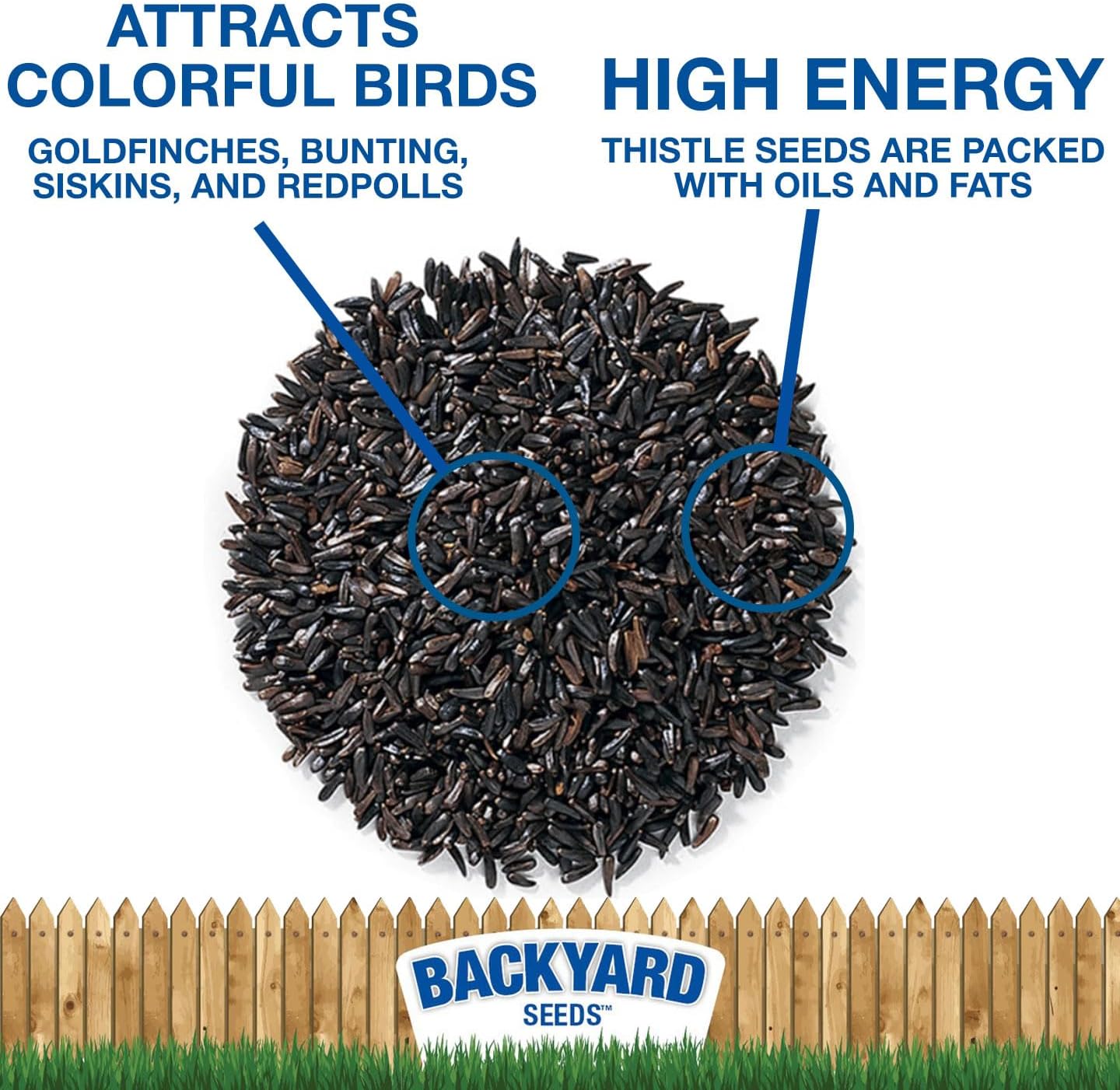 Thistle Seed for Finches – Premium Wild Bird Food for Goldfinches, Siskins & Small Songbirds | High-Energy, No-Filler, Cleaned Seed