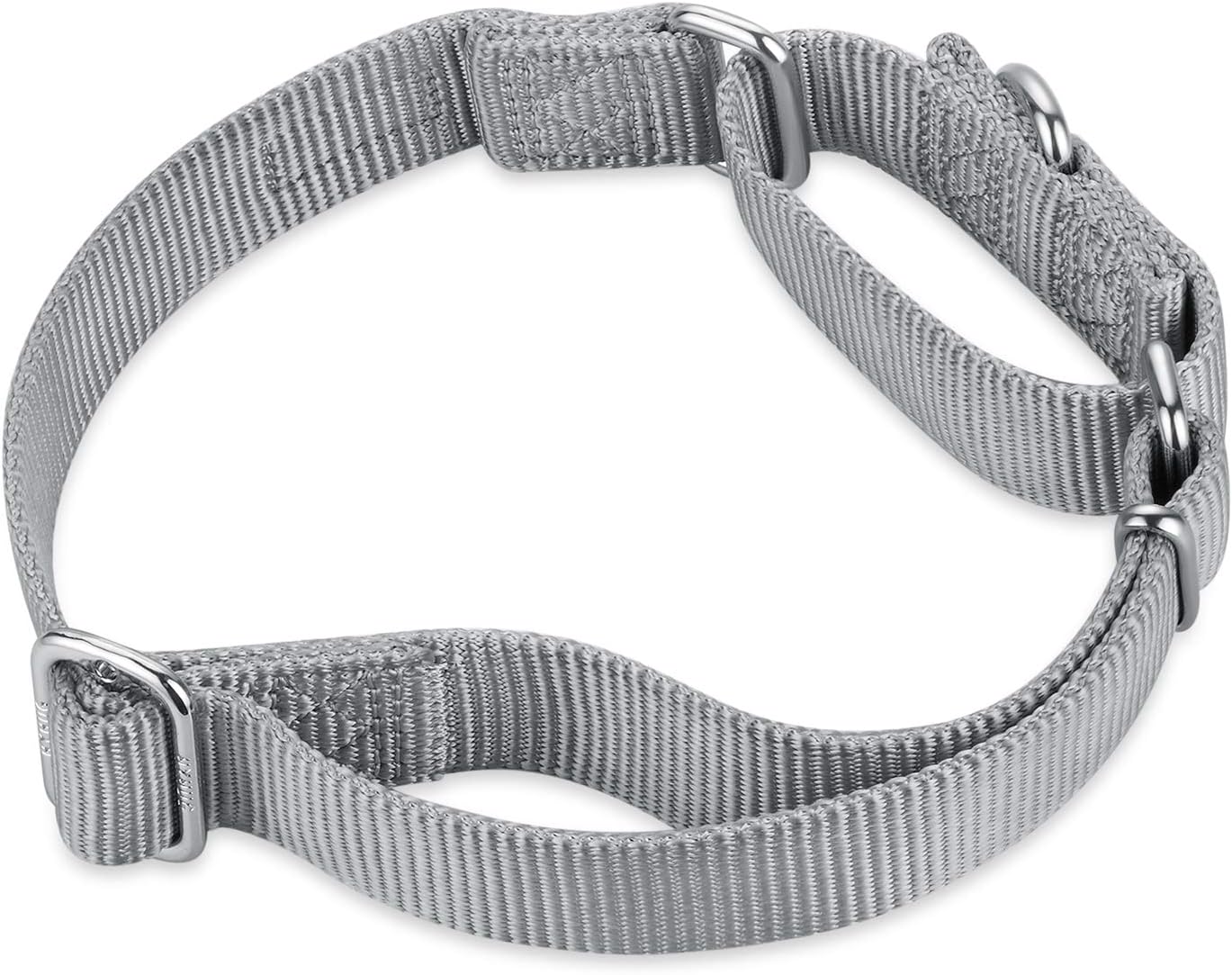 Hyhug Pets Premium Upgraded Heavy Duty Nylon Anti-Escape Martingale Collar for Pup Boy and Girl Dogs Comfy and Safe - Professional Training, Daily Use Walking. (Small, Sleet Gray)