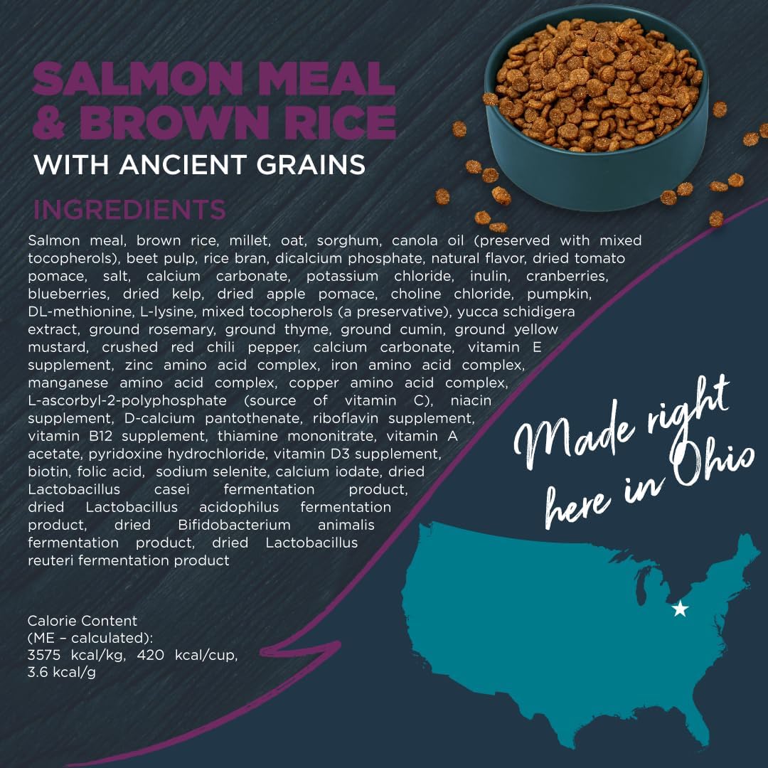Blackwood Sensitive Skin & Stomach Dry Dog Food, Salmon Meal & Brown Rice with Ancient Grains, 24 Pound Bag with Prebiotics & Probiotics to Promote Gut Health