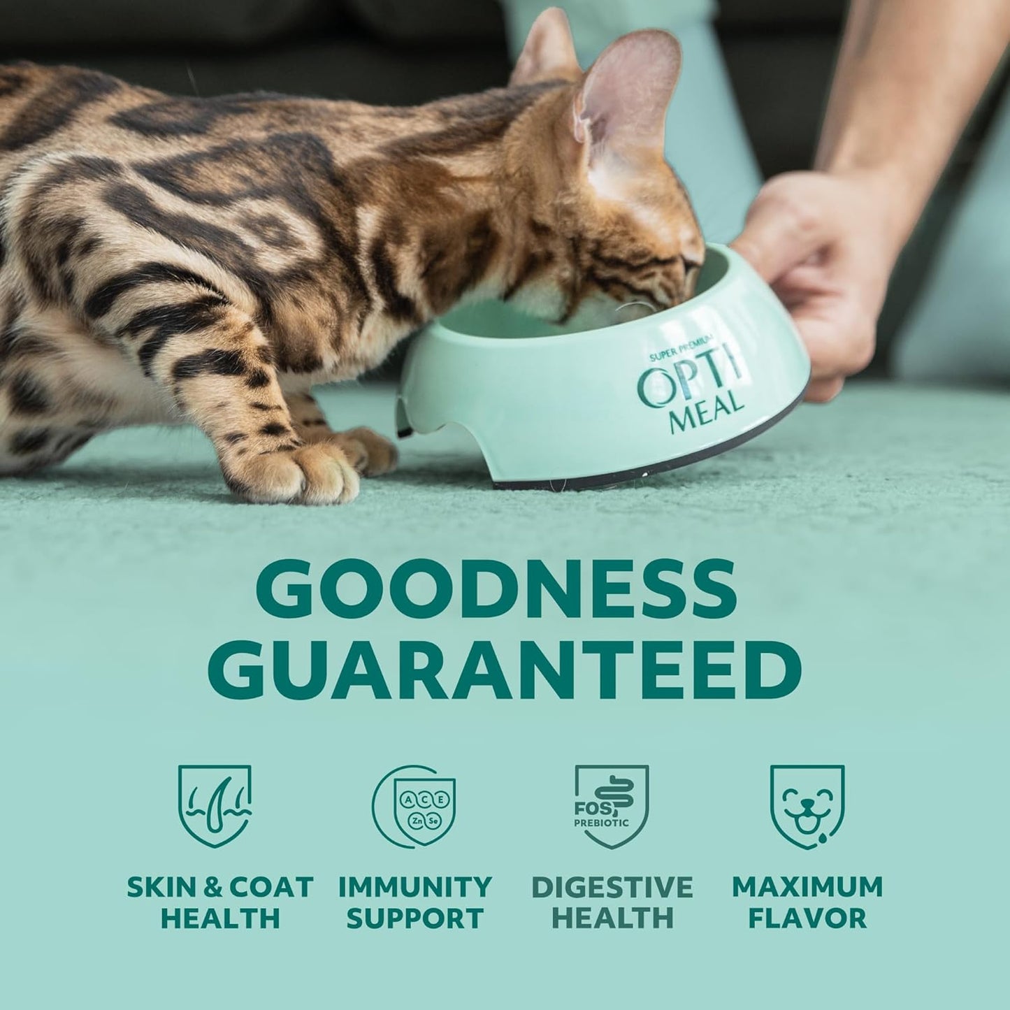 Optimeal Wet Cat Food Variety Pack - Grain Free Tender Morsels, High Protein Premium Nutrition Made with Natural European Quality Ingredients, Chicken, Adult Wet Cat Food Pouches - 12 Pack (3oz Each)