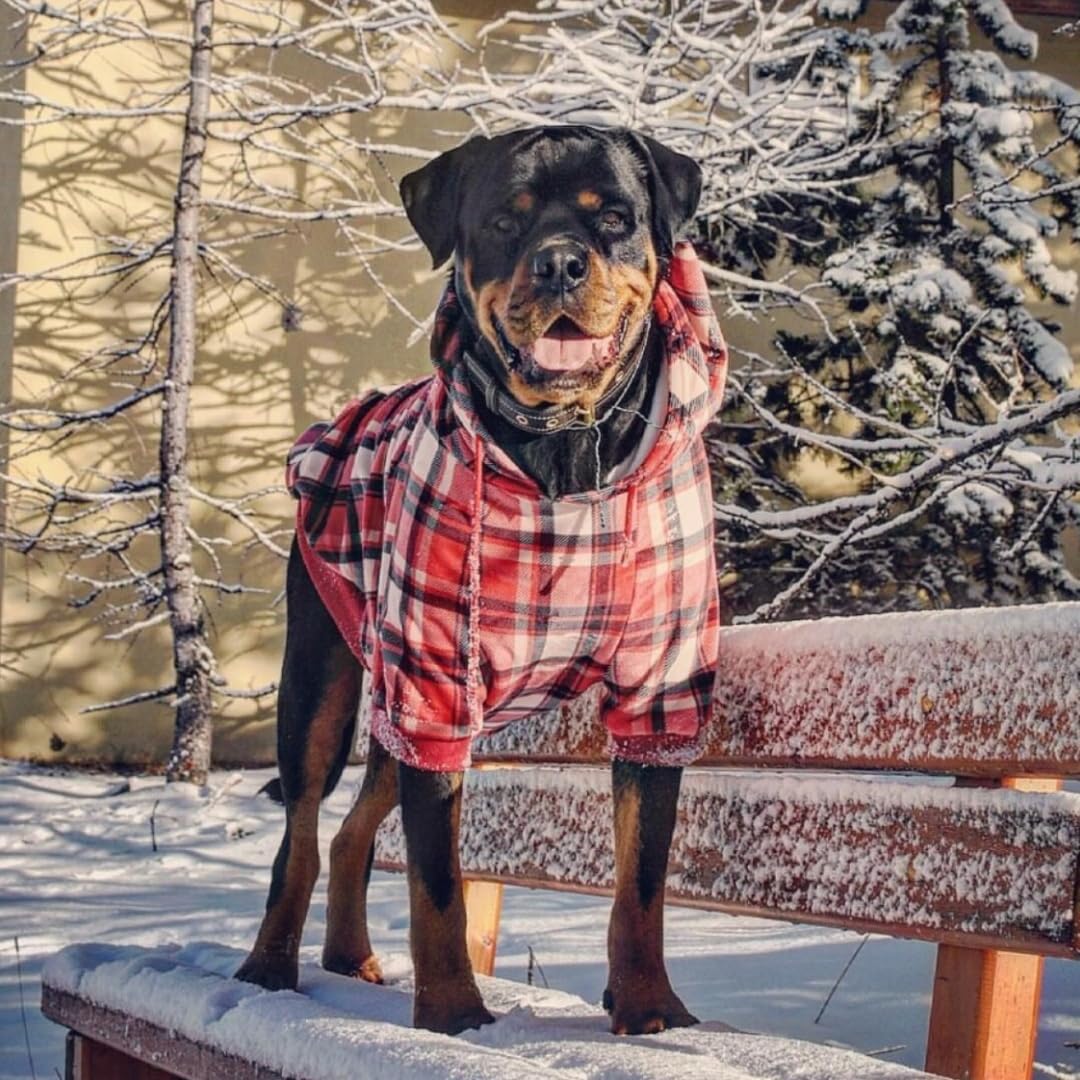 Spark Paws Dog Hoodie – Premium Dog Sweater for Small, Medium, and Large Dogs | Warm Outfits for French Bulldogs, Pitbull, Puppy, Winter Jacket Alternative - Red Plaid, M