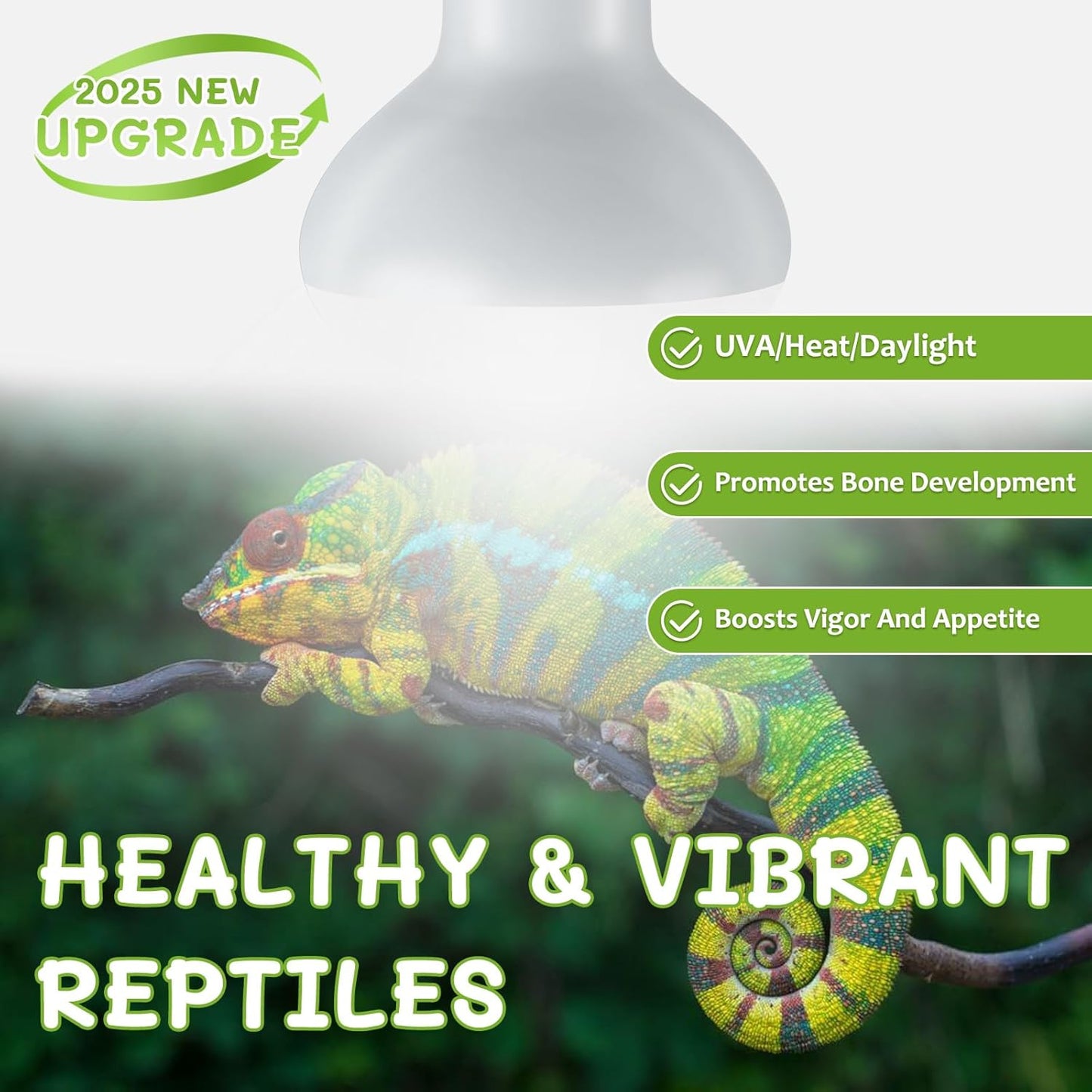Reptile Heat Lamp Bulbs, 2 Pack 50W Simulate Natural Sunlight Heat Light Bulb, Amphibian Terrarium Basking Spot Lamp for Reptile, Bearded Dragon, Lizard, Turtle, Snake