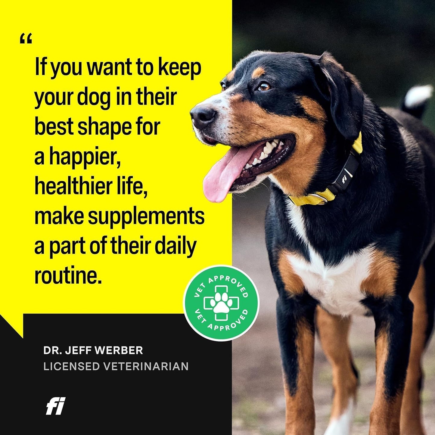 Fi 8-in-1 Dog Supplement Powder | Health Support for Bone, Skin, Digestion, Immunity & Joint Supplement for Dogs | Vet-Formulated for Puppies, Adults and Seniors | 90 Scoops