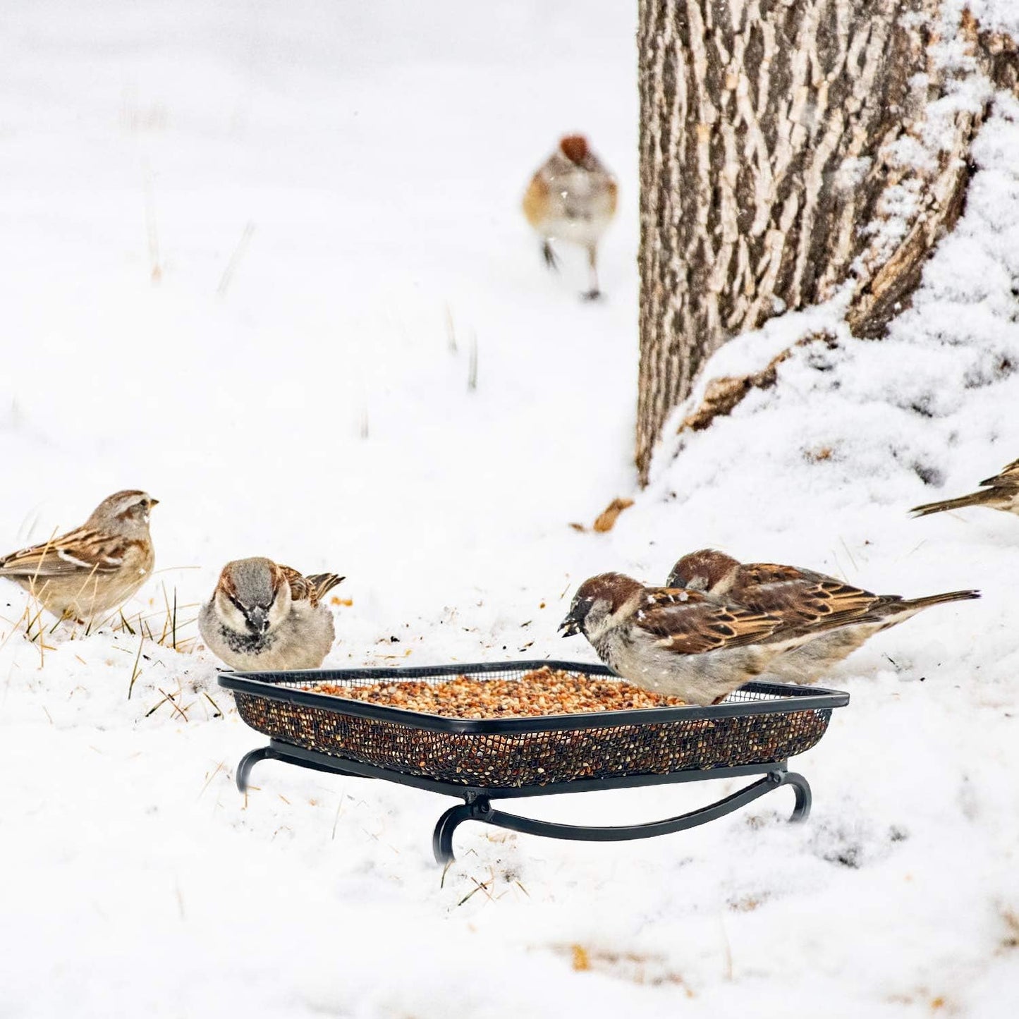 MIXXIDEA Ground Bird Feeder Tray, Metal Platform Mesh Seed Tray for Bird Feeders, Great Attracting Garden Yard Decoration for Wild Birds Squirrels Dove (1 Pack)
