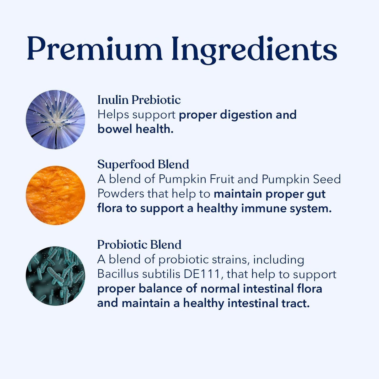 Honest Paws Probiotics for Dogs - Dog Digestion Gut Health Probiotic Powder with Prebiotic Made in The USA, Digestive and Immune Support - Digestive Enzymes with Pumpkin Flavor (30 Sticks)