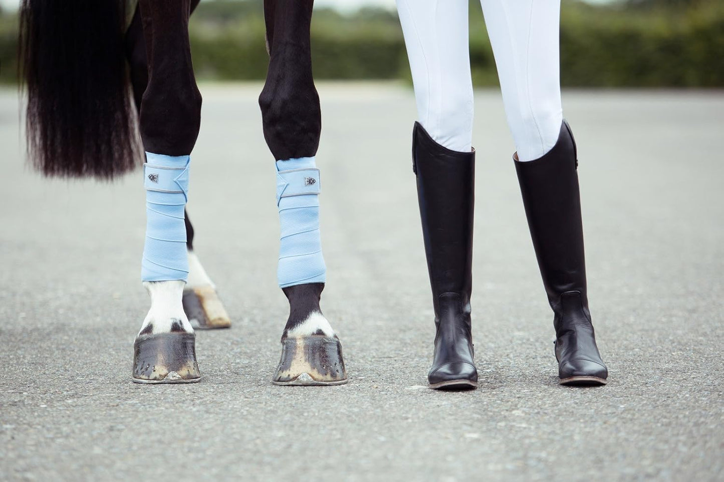 HORZE Nest 10' Combination Polo Wraps (Set of Four) | Fleece and Elastic Horse Bandages