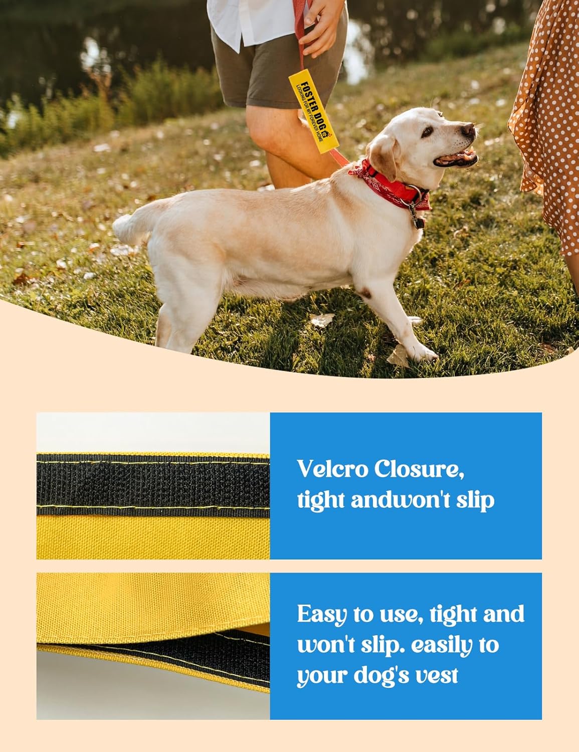 Foster Dog Looking for My Forever Home Dog Leash Sleeve, Funny Yellow Dog Leash Wrap Alert Hanging ID Patch Tag, Service Dog Leash Wrap Dog Pet Leash Sleeve Pet Birthday Gifts for Dog Owners