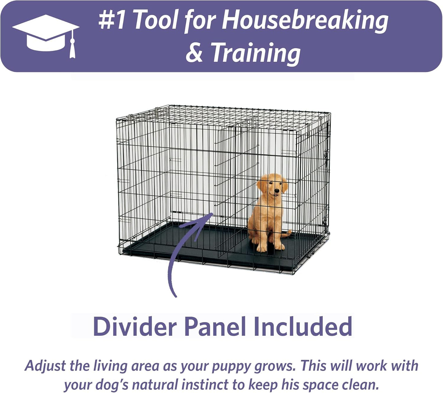 MidWest Homes for Pets 22-Inch iCrate Folding Dog Crate with Divider Panel, Leak-Proof Tray & Secure Latches – Metal Wire Kennel for XS Breeds – Portable, Durable & Easy to Assemble