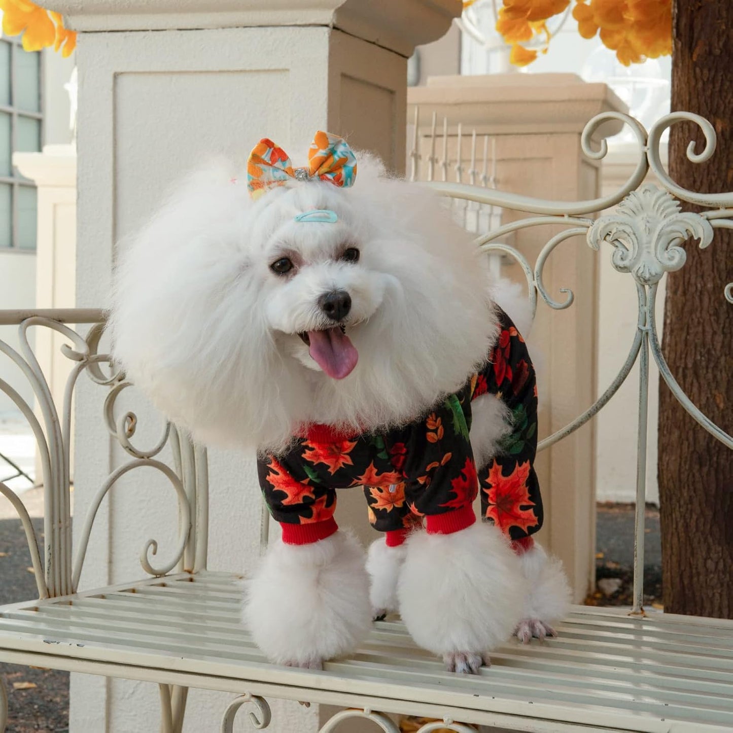 CuteBone Dog Halloween Pajamas Puppy Onesies Small Dogs Soft Pjs Coat Cat Apparel Comfy Pet Christmas Clothes Outfit Doggie Bodysuit P265M