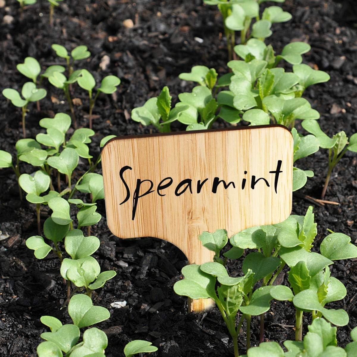 Homenote Bamboo Plant Labels 60Pcs Plant Tags for Seedlings T-Type Tags for Plants Outdoor Garden Markers Vegetable Seedling（2.36 * 4“