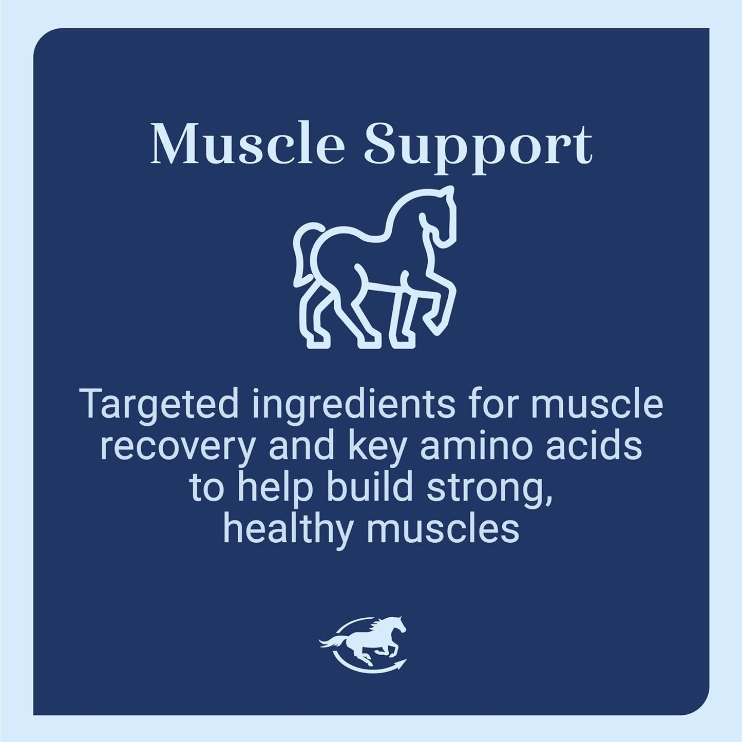 Uckele by SmartEquine Muscle EQ™ Powder | Muscle Supplement with L-Carnitine for Horses | Amino Acid Beta-Alanine for Optimal Muscle Function & Supports Recovery | 4.3 lb Bag