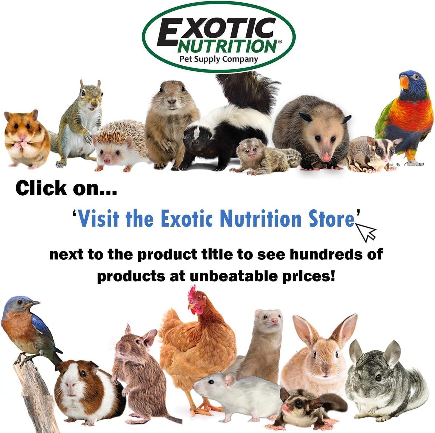 Hedgehog Booster - Complete Multivitamin - Powdered Vitamin & Mineral Supplement for Pet Hedgehogs (2 oz.)