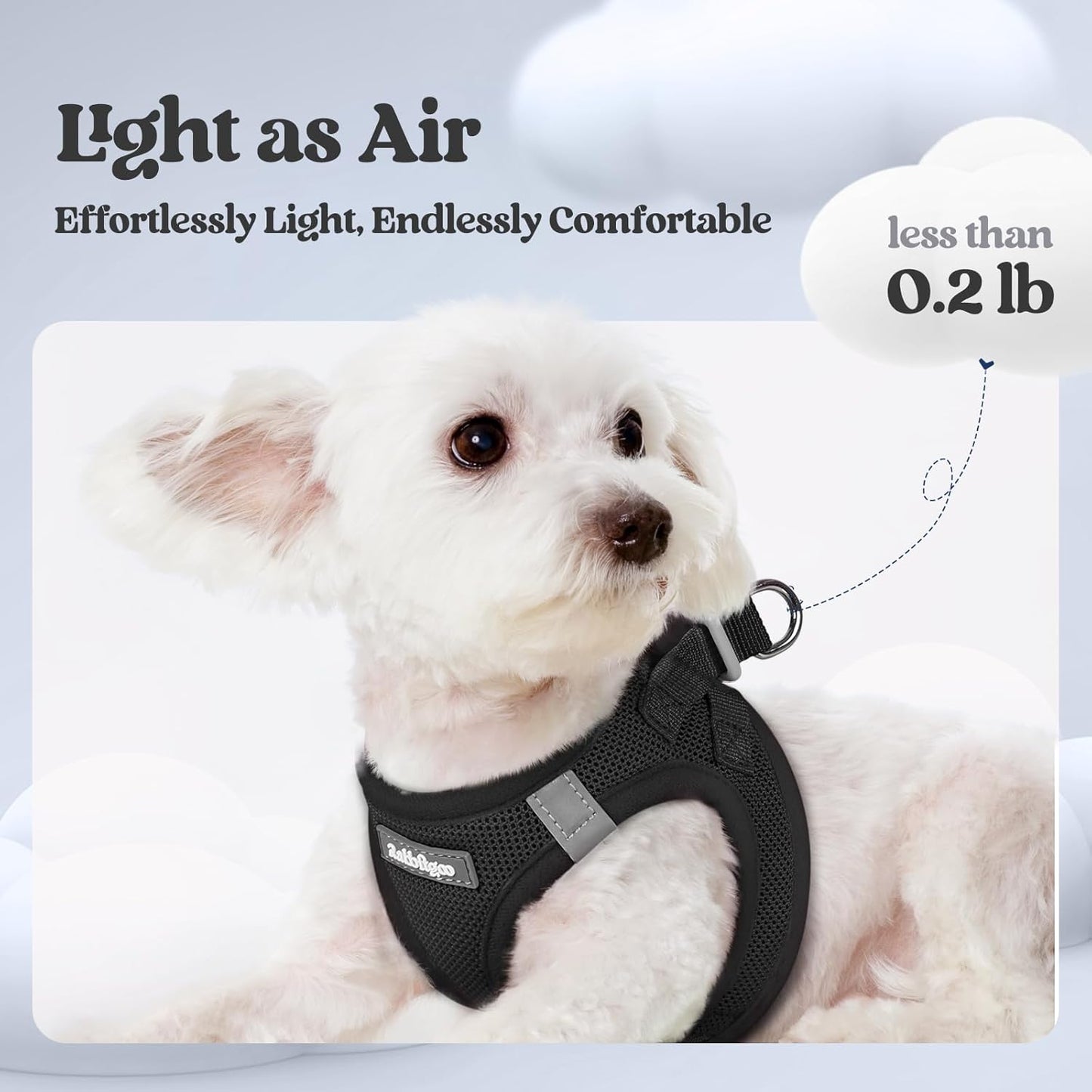 rabbitgoo Dog Harness Small Sized and Leash Set, Step in Soft Light Puppy Vest, Breathable Mesh Pet Harness, Reflective for Safe Easy Walking, Black XXS