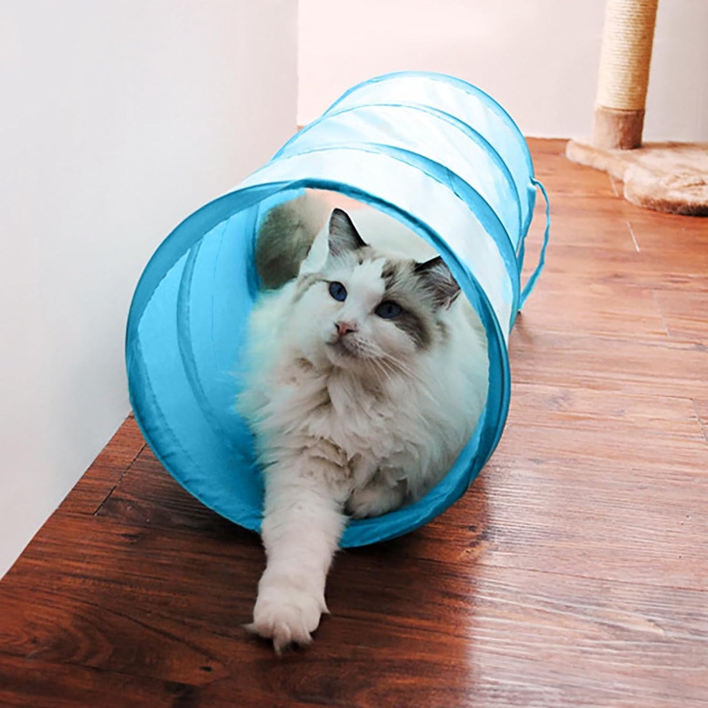 iCAGY Cat Tunnel for Indoor Cats Interactive, Rabbit Tunnel Toys, Pet Toys Play Tunnels for Cats Kittens Rabbits Puppies Crinkle Collapsible Pop Up Red 20"