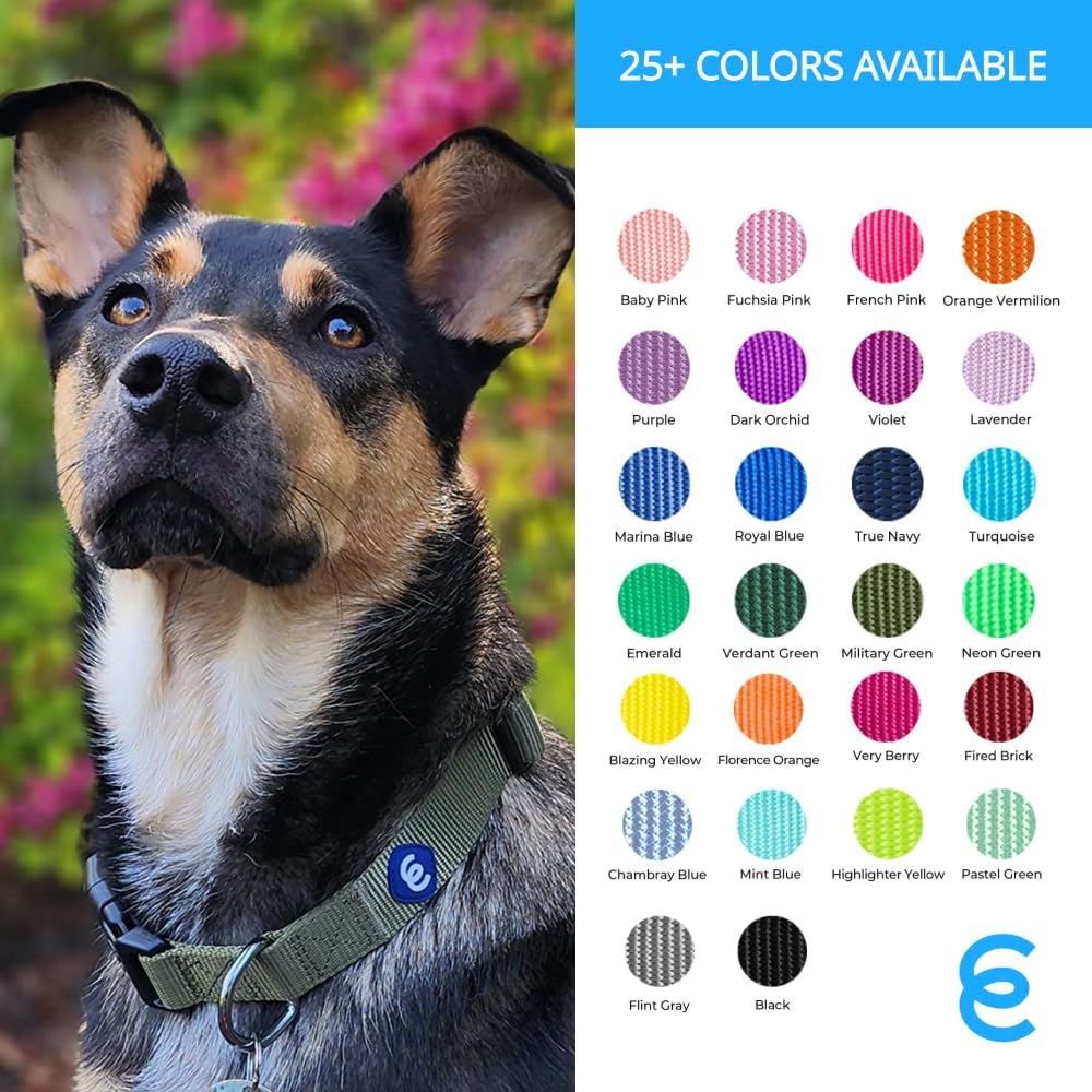 Blueberry Pet Essentials Matching Adjustable & Durable Classic Solid Color Nylon Dog Collars for Medium Dogs | Highlighter Yellow Collar Medium Girl and Boy Dogs for Pet Owner