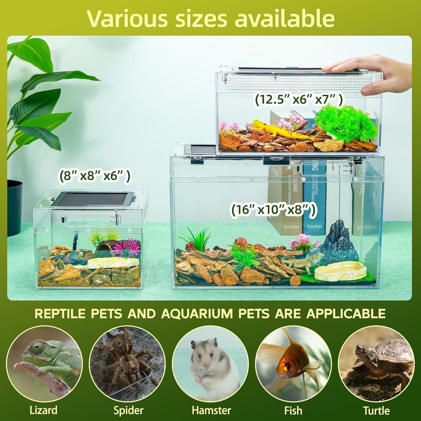 16×10×8'' Reptile Tank Kit with Heat Lamp, Spray Bottle, Shovel, Tweezers, Food Bowl, Hideout -Perfect for Geckos, Bearded Dragons, Snakes, Lizards, Turtles 360° Viewing, PC Glass