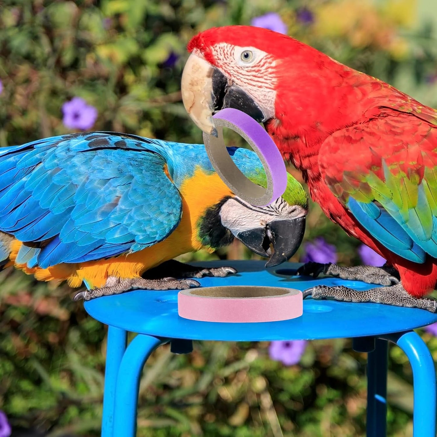 Jenaai 24 Pcs Chew Bagels Bird Toys for Parrots 2.4 Inch Wood Bird Chew Toys Colorful Cardboard Foraging Chew Foot Wooden Training Toy for Cockatiels Cockatoos Macaws and Similar Sized Pet Birds