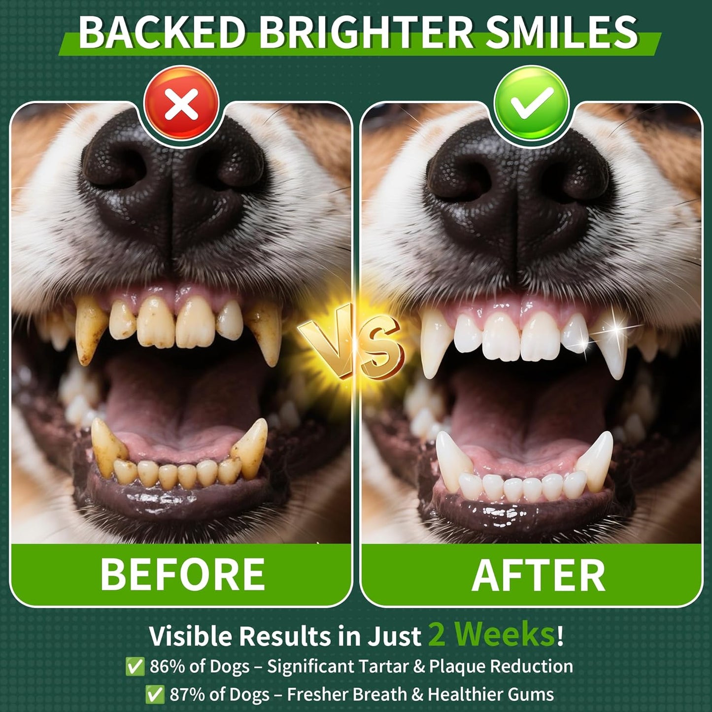 2 Pack Dog Dental Powder, Dog Teeth Cleaning Powder with Natural Herbal Blend & Postbiotics, Dental Powder for Dogs Teeth, Targets Tartar & Reduces Plaque & Bad Breath for Dogs & Cats, Mint -150Grams