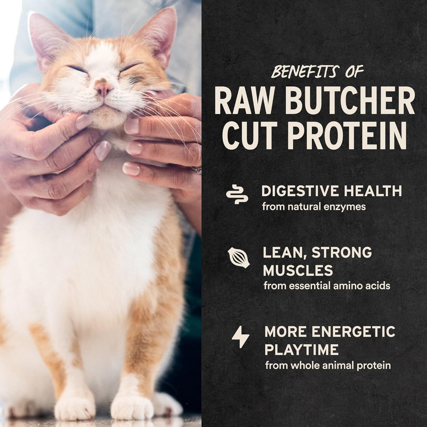 Vital Essentials Chicken Breast Cat Treats, 2.1 oz | Freeze-Dried Raw | Single Ingredient | Grain Free, Gluten Free, Filler Free