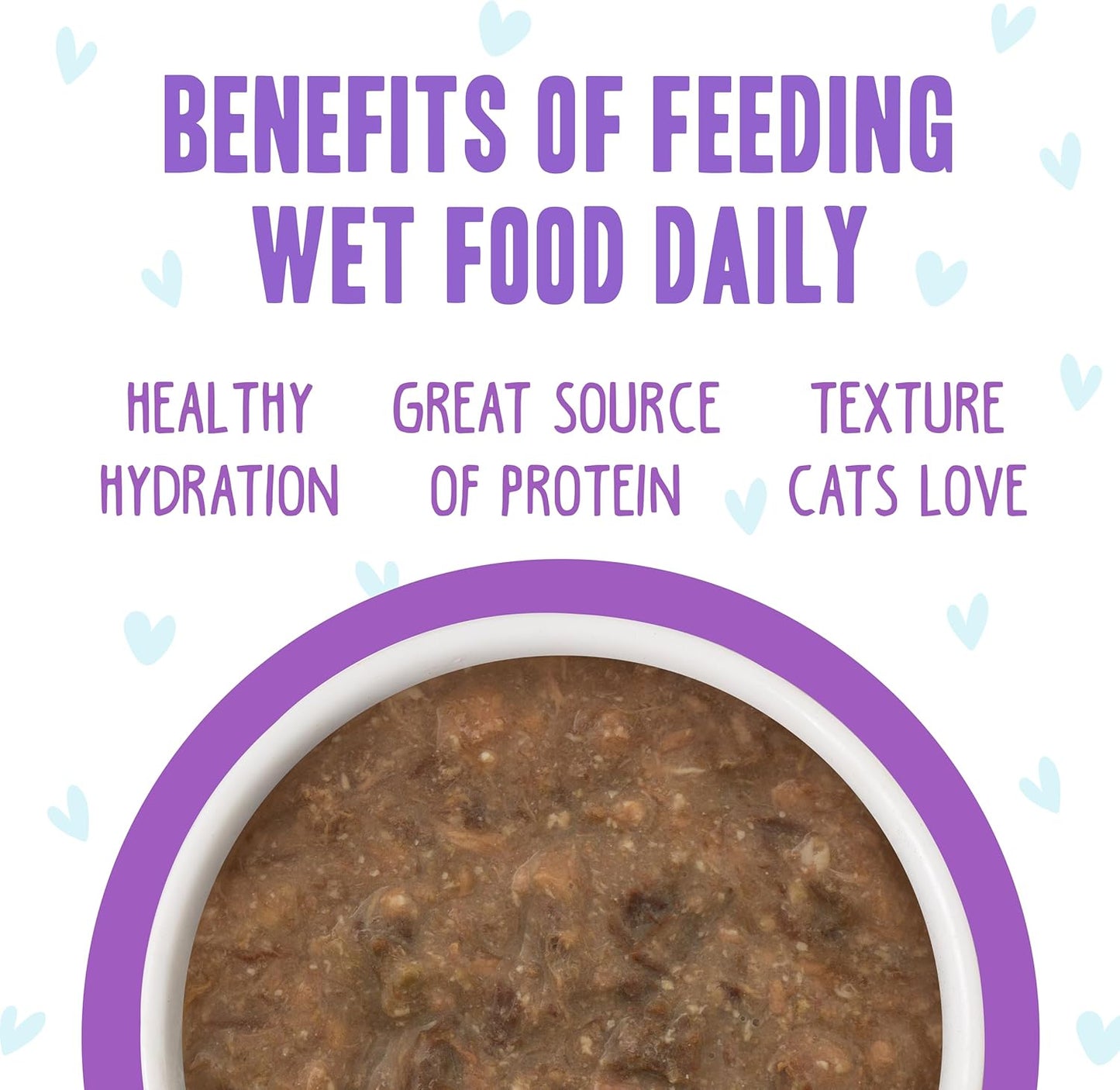 Weruva B.F.F. OMG - Best Feline Friend Oh My Gravy!, Best Day Eva! with Beef & Salmon in Gravy Cat Food, 5.5oz Can (Pack of 8)