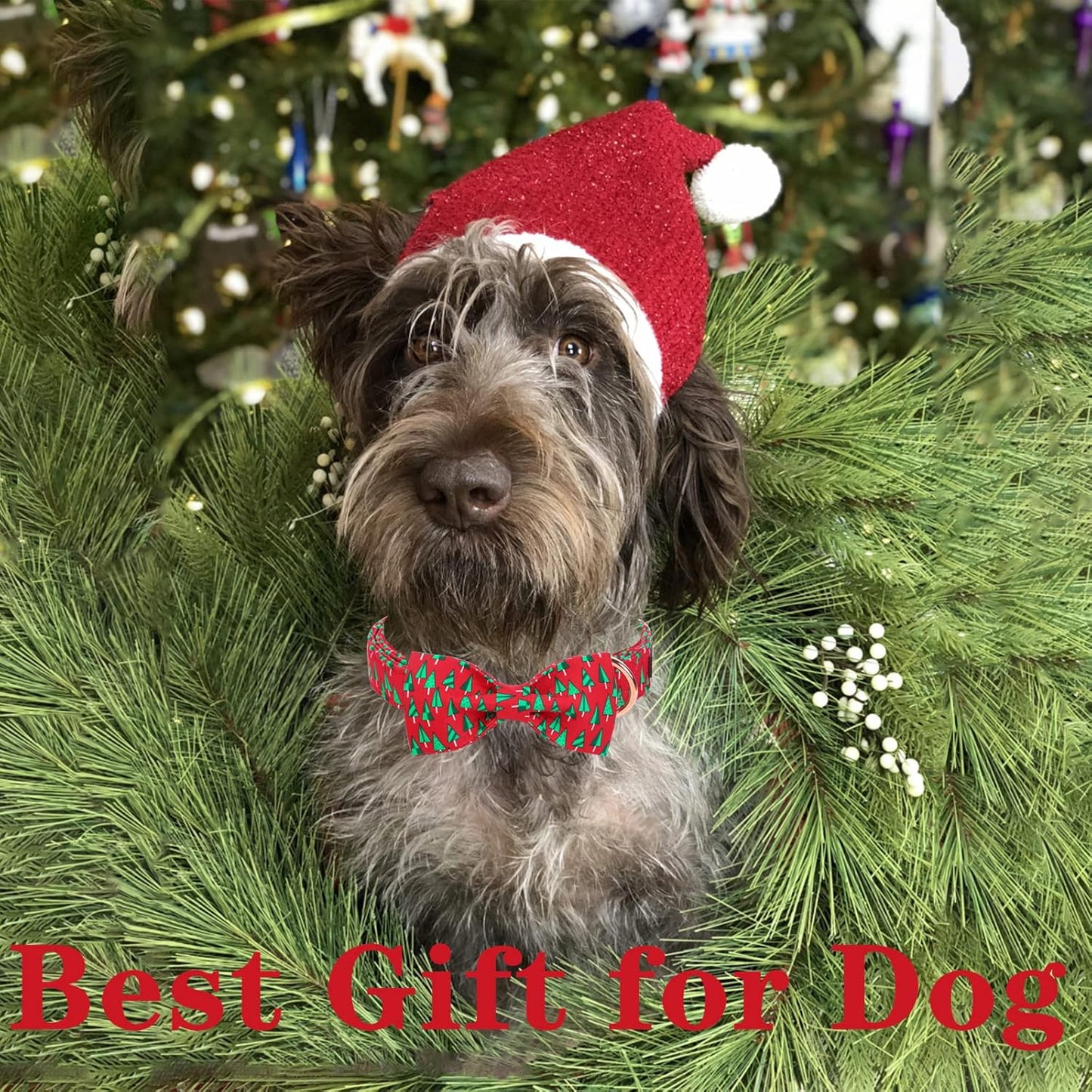 Unique style paws Christmas Dog Collar with Bow Best Winter for Small Medium Large Dogs -Christmas Tree-L