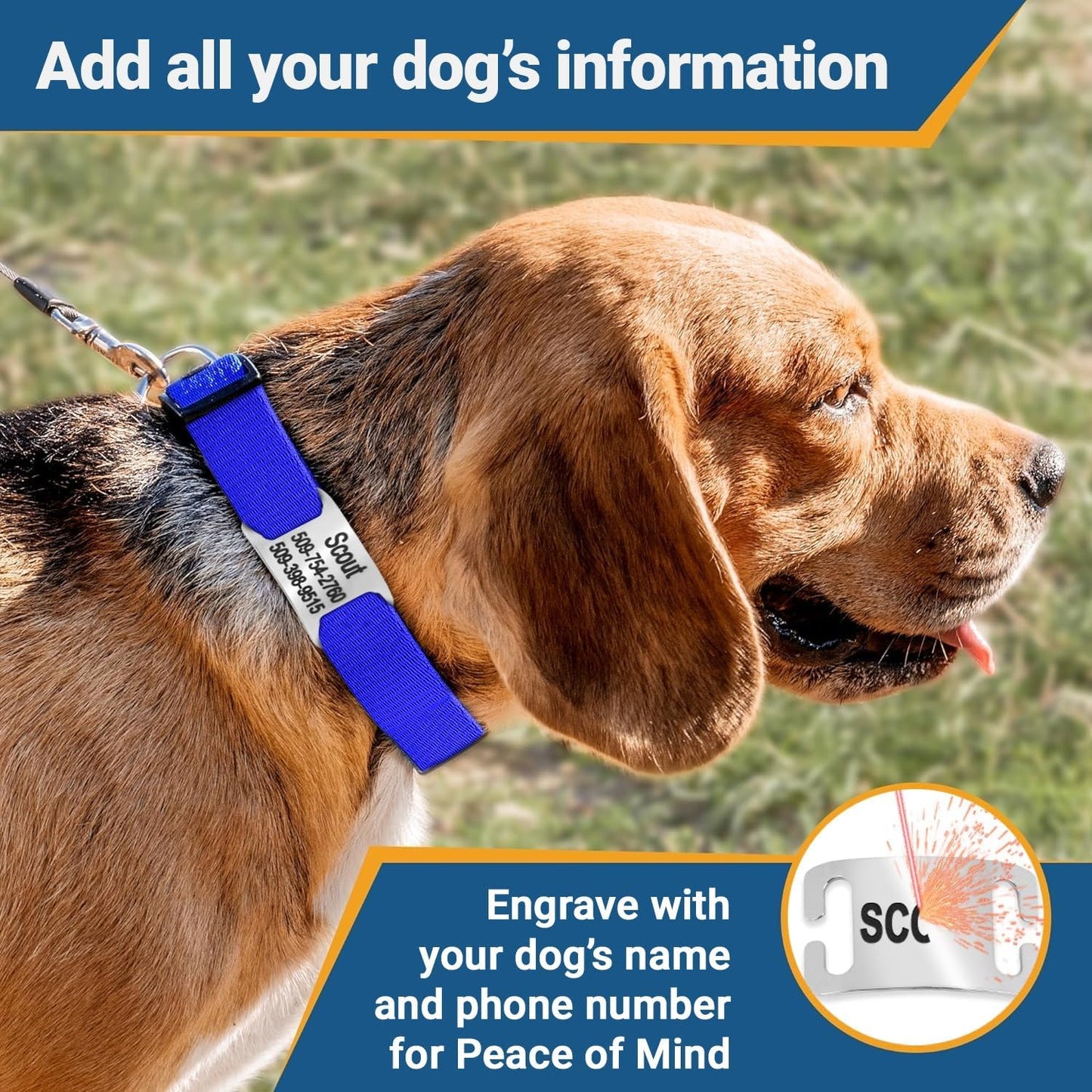 GoTags Reflective Personalized Dog Collar with Nameplate, Adjustable Dog Collar with Custom Engraved Steel Slide On Pet ID Tag, Silent, No Noise Dog Tag for Large Medium or Small (Light Blue, Small)