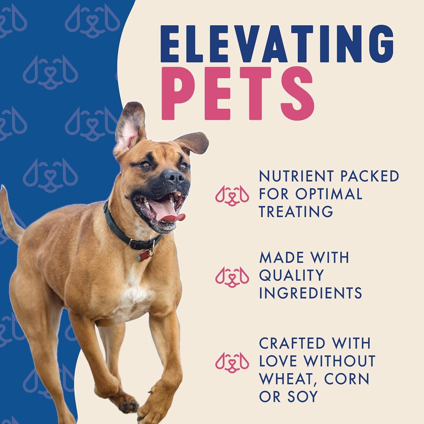 Finley's Turkey Training Bites, Low Calorie, All Natural Soft Chew Dog Treats, 16 Ounce (Pack of 1)