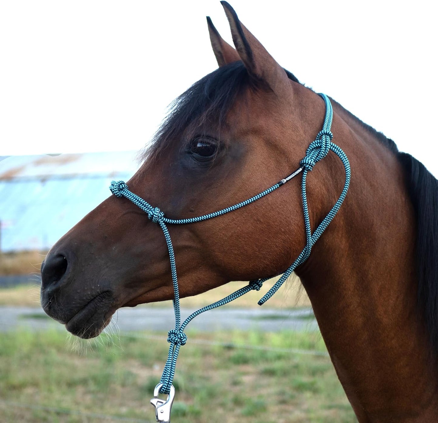 Horse Rope Training Halter - 4 Knot 1/4" Stiff Halter Cord - Used by Famous Trainers Multiple Sizes Multiple Colors