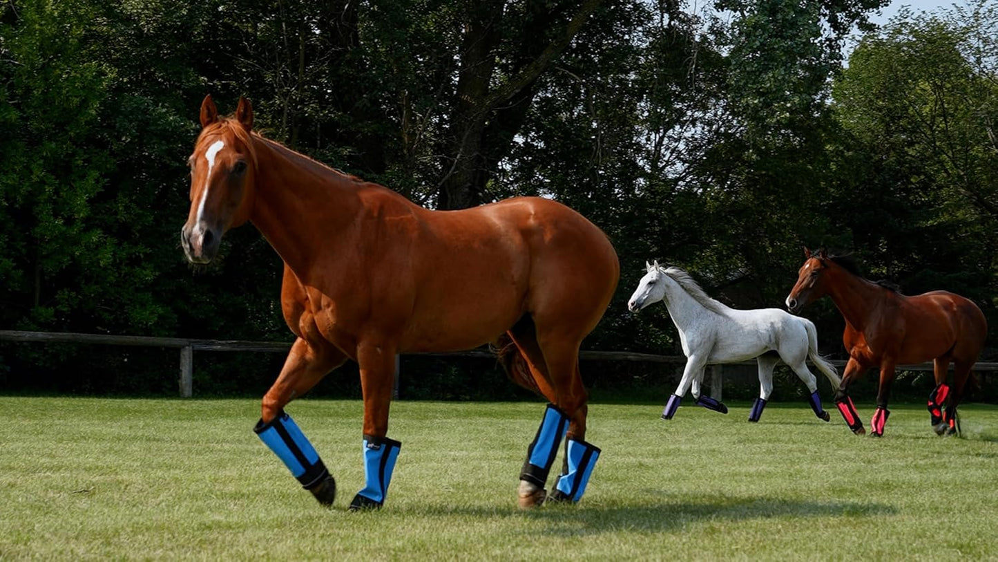 Warrior Fly Boots for Donkeys, Ponys, or Yearlings - Breathable Mesh Horse Boots for Fly Protection & Leg Comfort - Set of 4 (Mighty Warrior, Red)