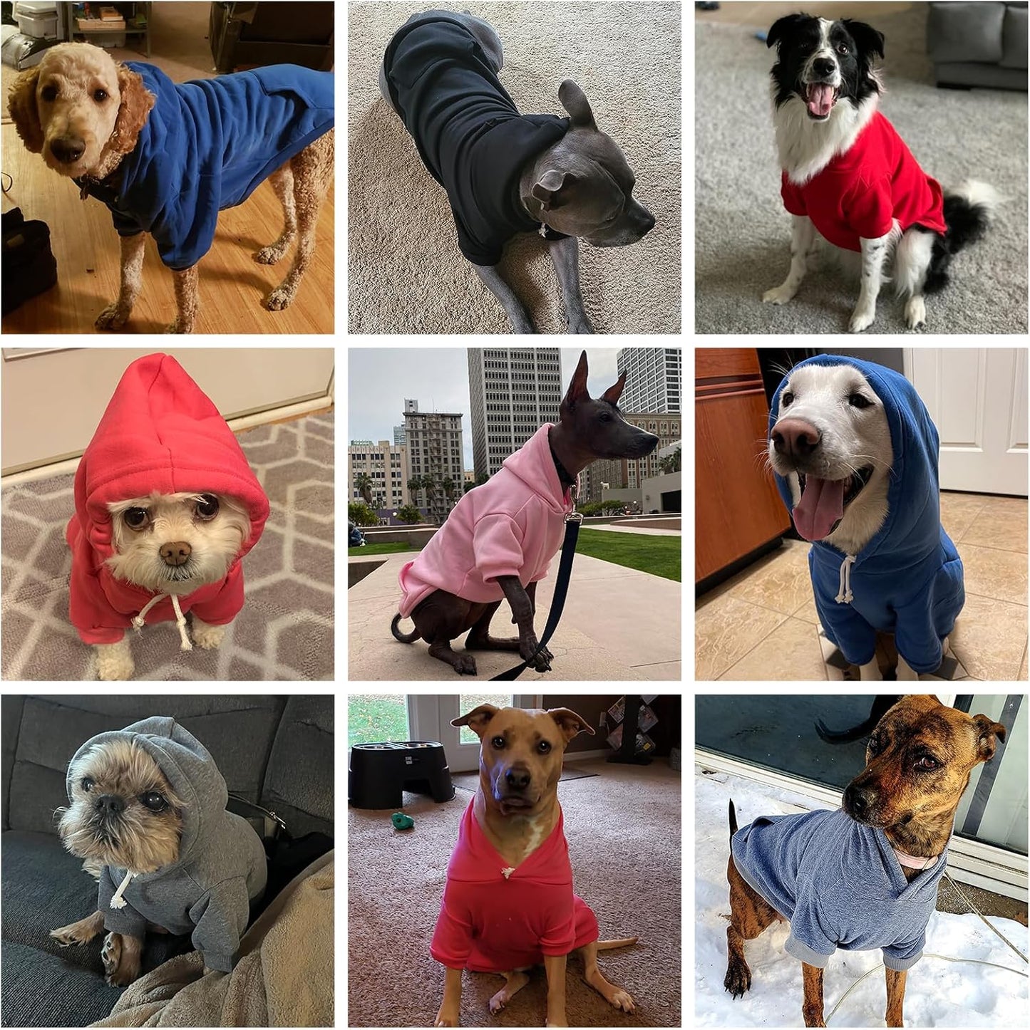 KOOLTAIL Basic Dog Hoodie - Soft & Warm Dog Hoodie Sweater with Leash Hole and Pocket, Dog Winter Coat, Cold Weather Clothes Sweatshirt for Small Medium Large Dogs Puppy Cat Boys Girls Green M