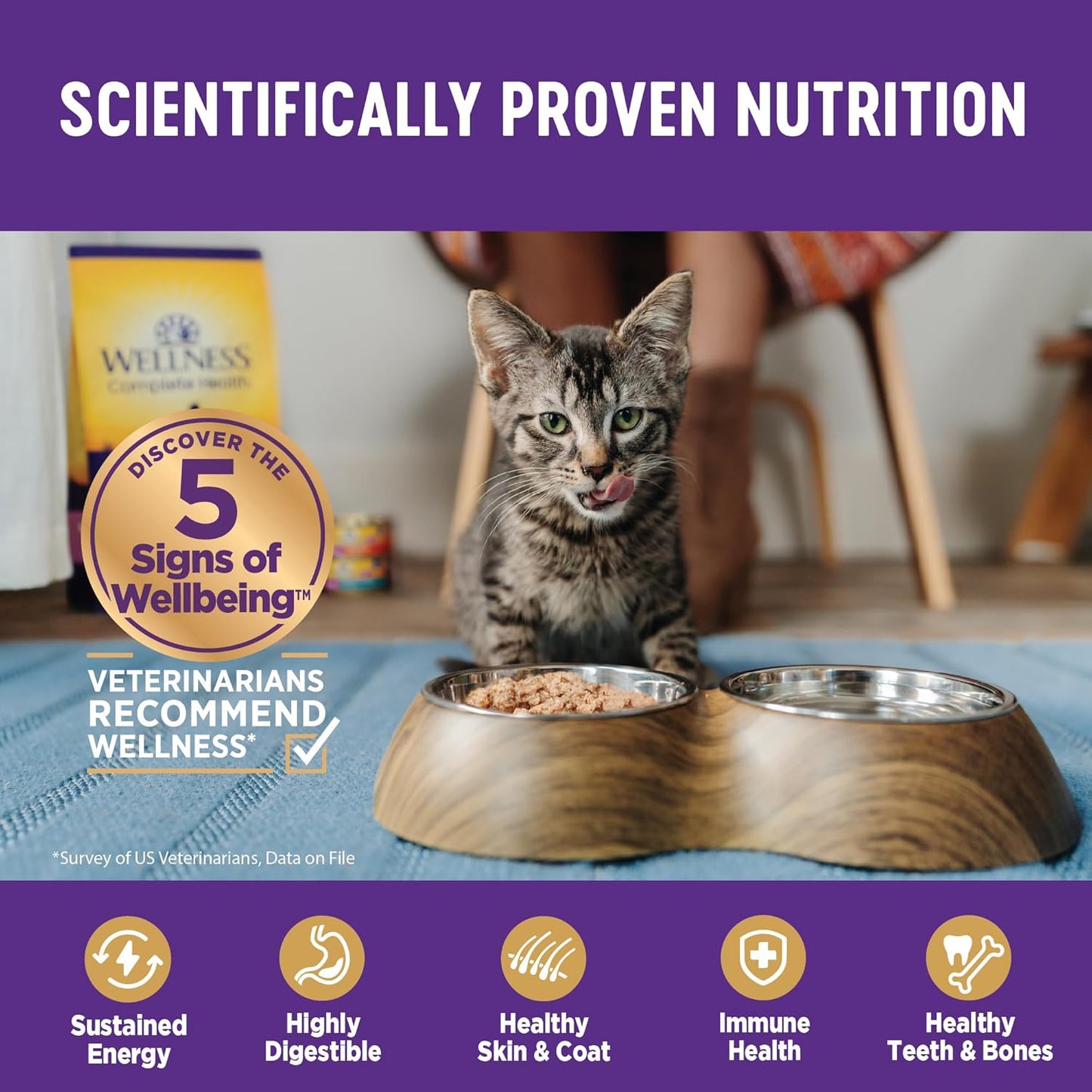 Wellness Complete Health Gravy Adult Wet Cat Food, Natural, Protein-Rich, Grain Free, 3 Ounce, 12 Pack, (Salmon Entree)