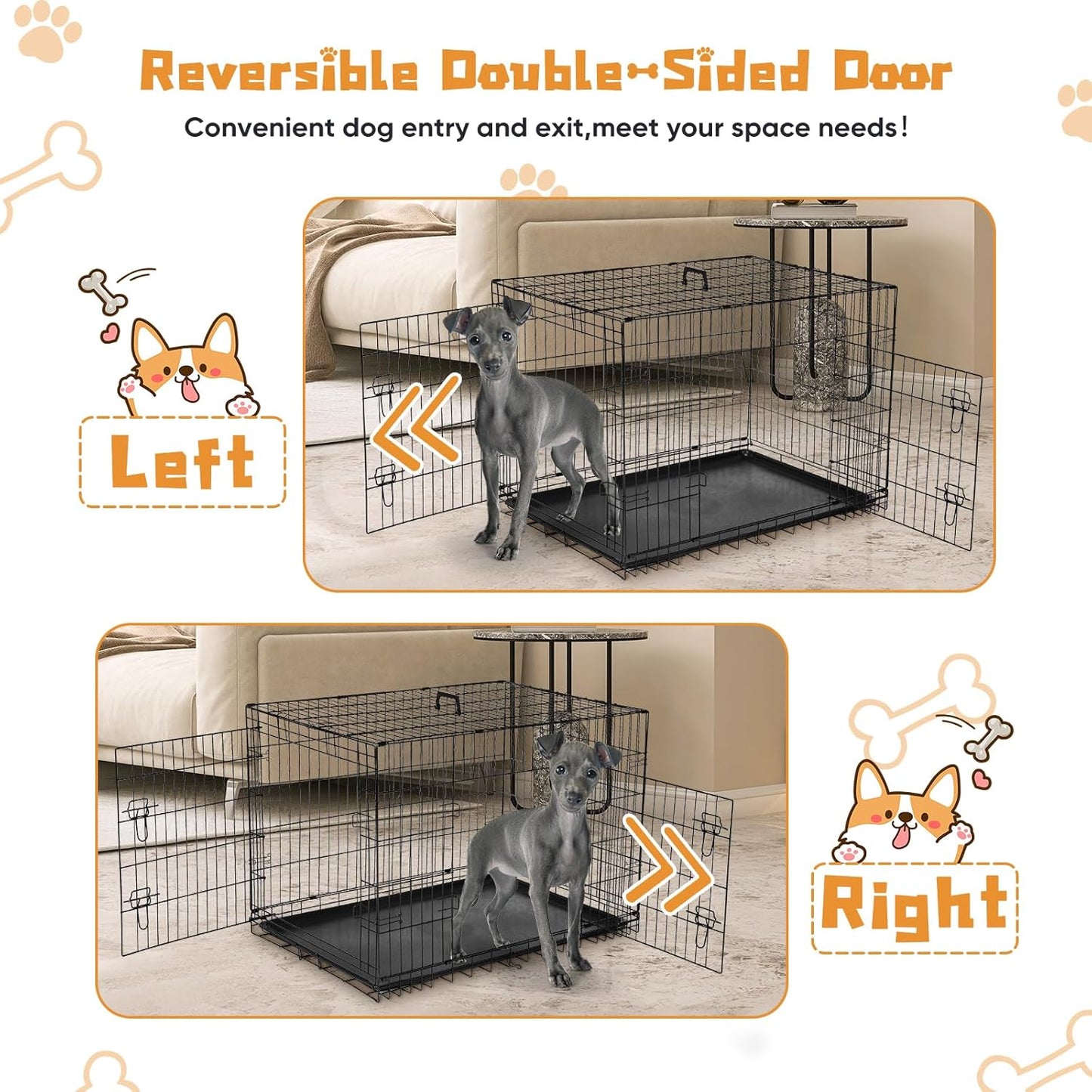 DUMOS Dog Crate, 36 Inch Medium Double Door Dog Cage with Divider Panel and Plastic Leak-Proof Pan Tray, Folding Metal Wire Pet Kennel for Indoor, Outdoor, Travel