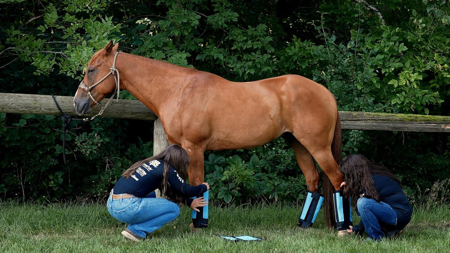 Warrior Fly Boots for Horses - Breathable Mesh Horse Boots for Fly Protection & Leg Comfort - Set of 4 (Knight Warrior, Gray)