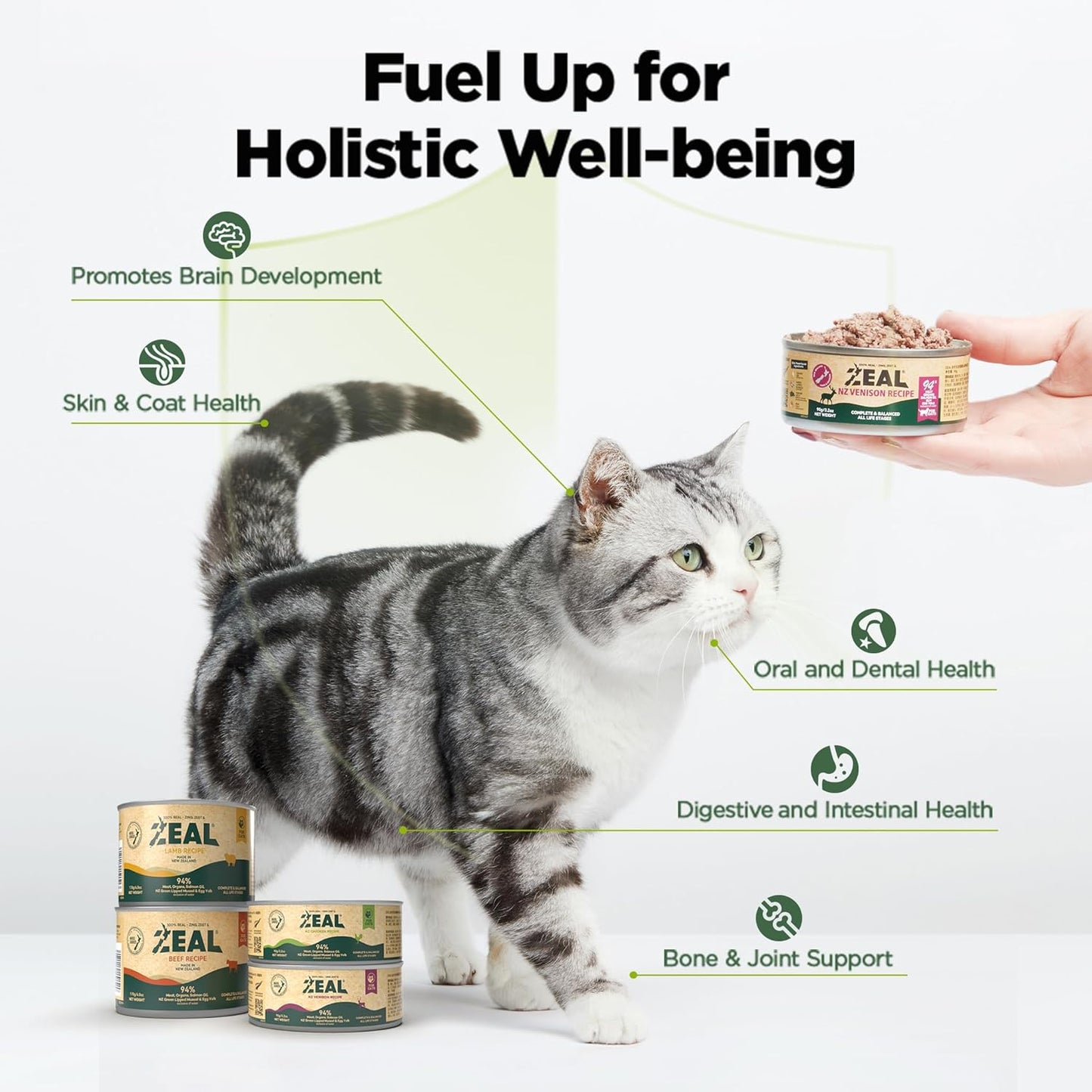 ZEAL New Zealand Wet Cat Food – High Protein, Grain-Free with Superfoods (Lamb, 6oz Can, 12-Pack)